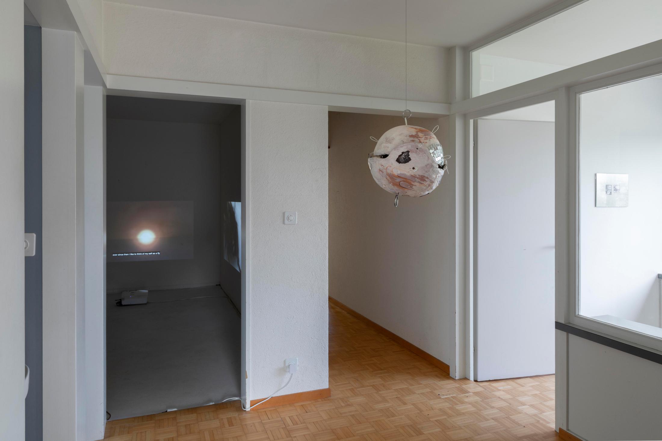 Group Show «On the Brink of Forever; view on Camille Dumond, The Managed Heart (ft. Windows), 2021» at Im Grafenhag, Winterthur, 2021 / Photo: Simon Javed / Courtesy: the artist and Im Grafenhag