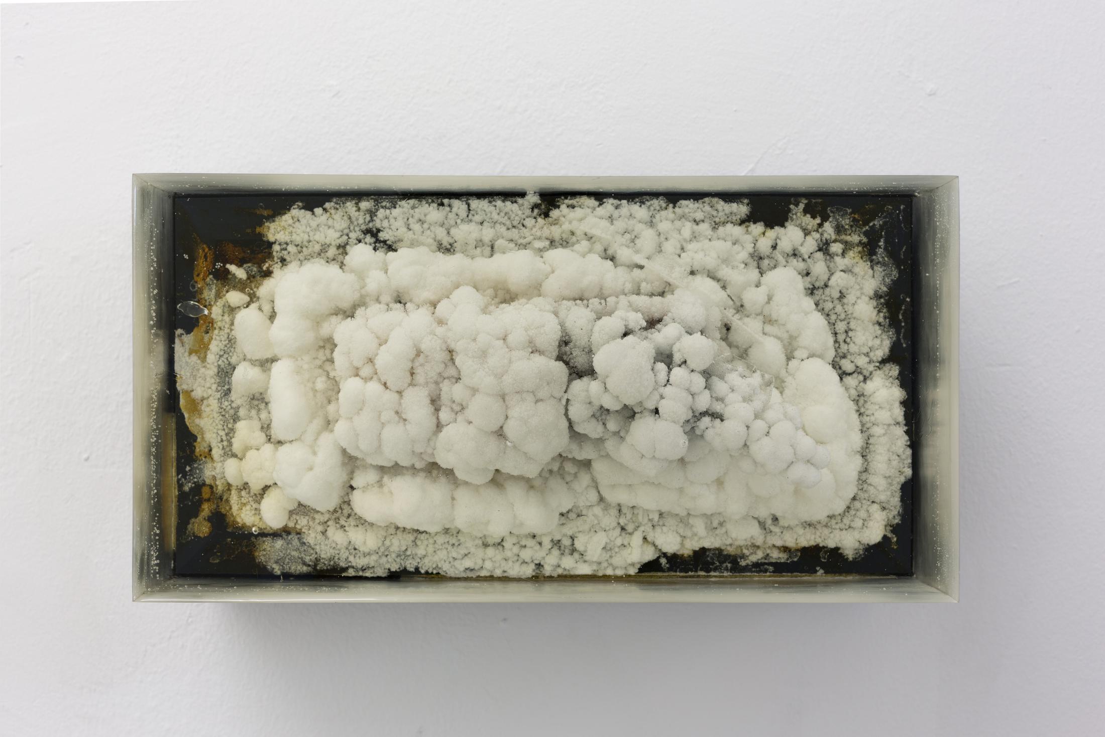 Exhibition View Partrick Hari Soloshow «diese ecke wurde als verloren aufgegeben / view on Mask (hommage to Andrea Fraser), 2018» at Bolte Lang, Zurich / Courtesy: the artist and Bolte Lang, Zurich