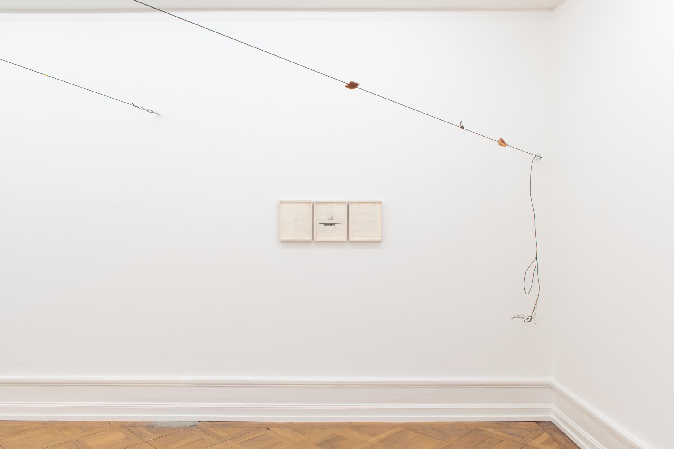 Exhibition View Peter Hujar & Paul Thek Joint Exhibition at Mai 36 Galerie, Zurich, 2020 / Courtesy: Mai 36 Galerie, Zurich