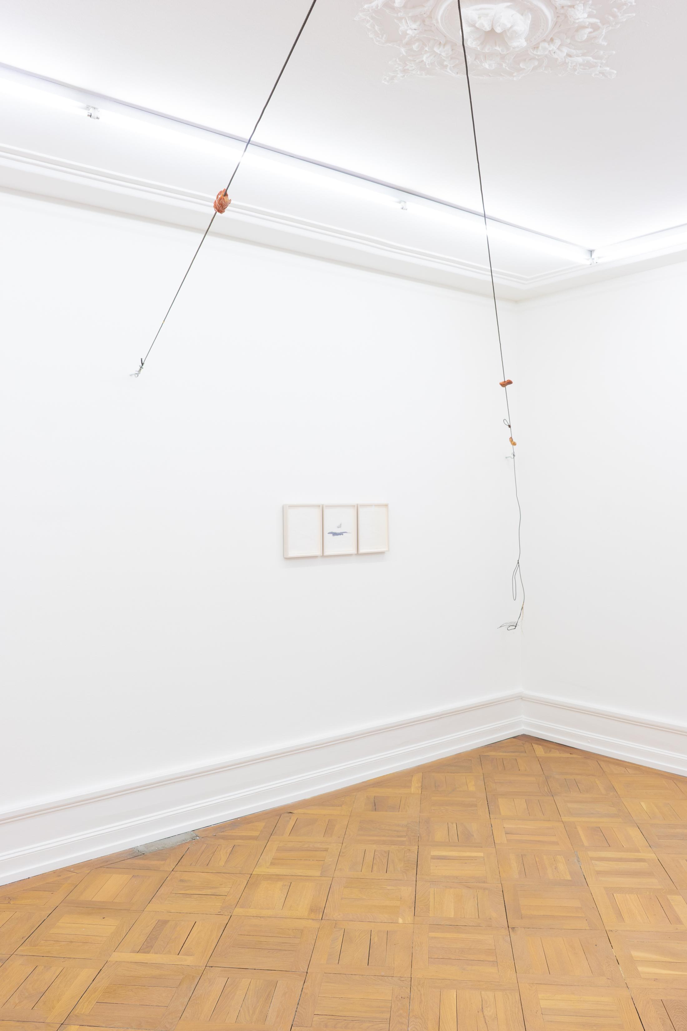 Exhibition View Peter Hujar & Paul Thek Joint Exhibition at Mai 36 Galerie, Zurich, 2020 / Courtesy: Mai 36 Galerie, Zurich