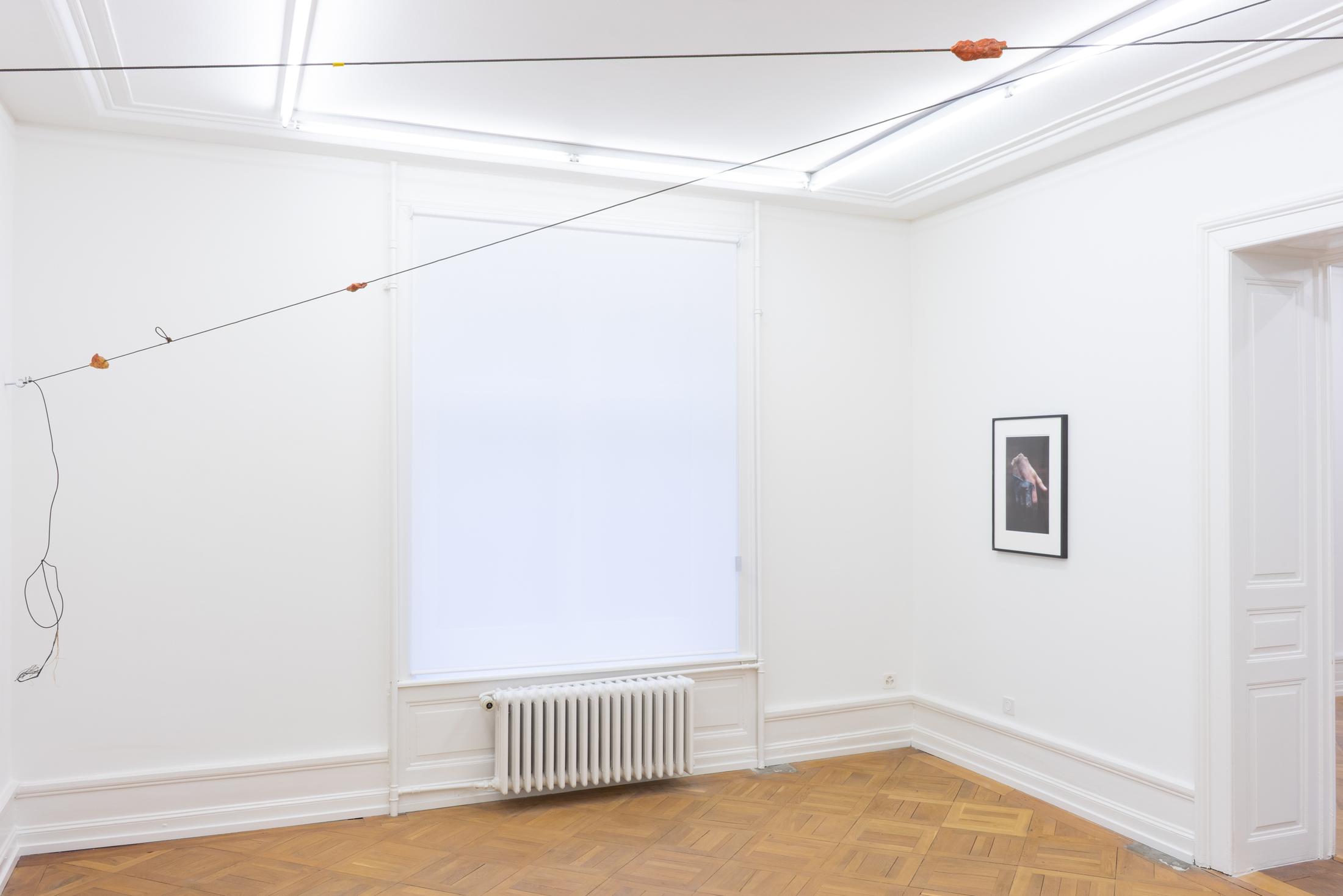 Exhibition View Peter Hujar & Paul Thek Joint Exhibition at Mai 36 Galerie, Zurich, 2020 / Courtesy: Mai 36 Galerie, Zurich