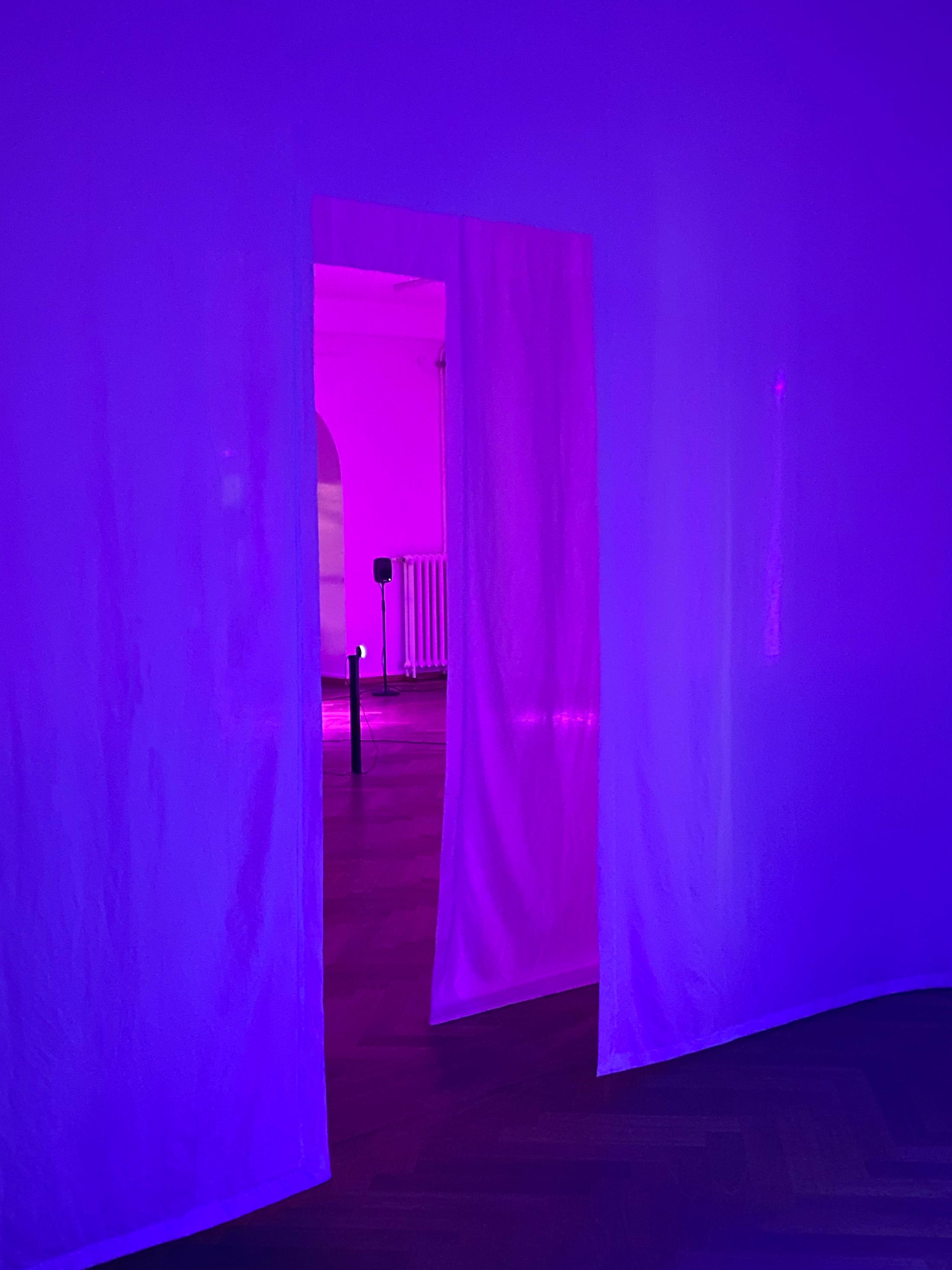 Exhibition View Philip Ortelli and Sandar Tun Tun Duo Show «Casting Shades at New Moon; view on Sandar Tun Tun, Synthia, 2021, Sound installation» at KRONE COURONNE, Biel, 2021 / Photo: James Bantone / Courtesy: artists and KRONE COURONNE Biel