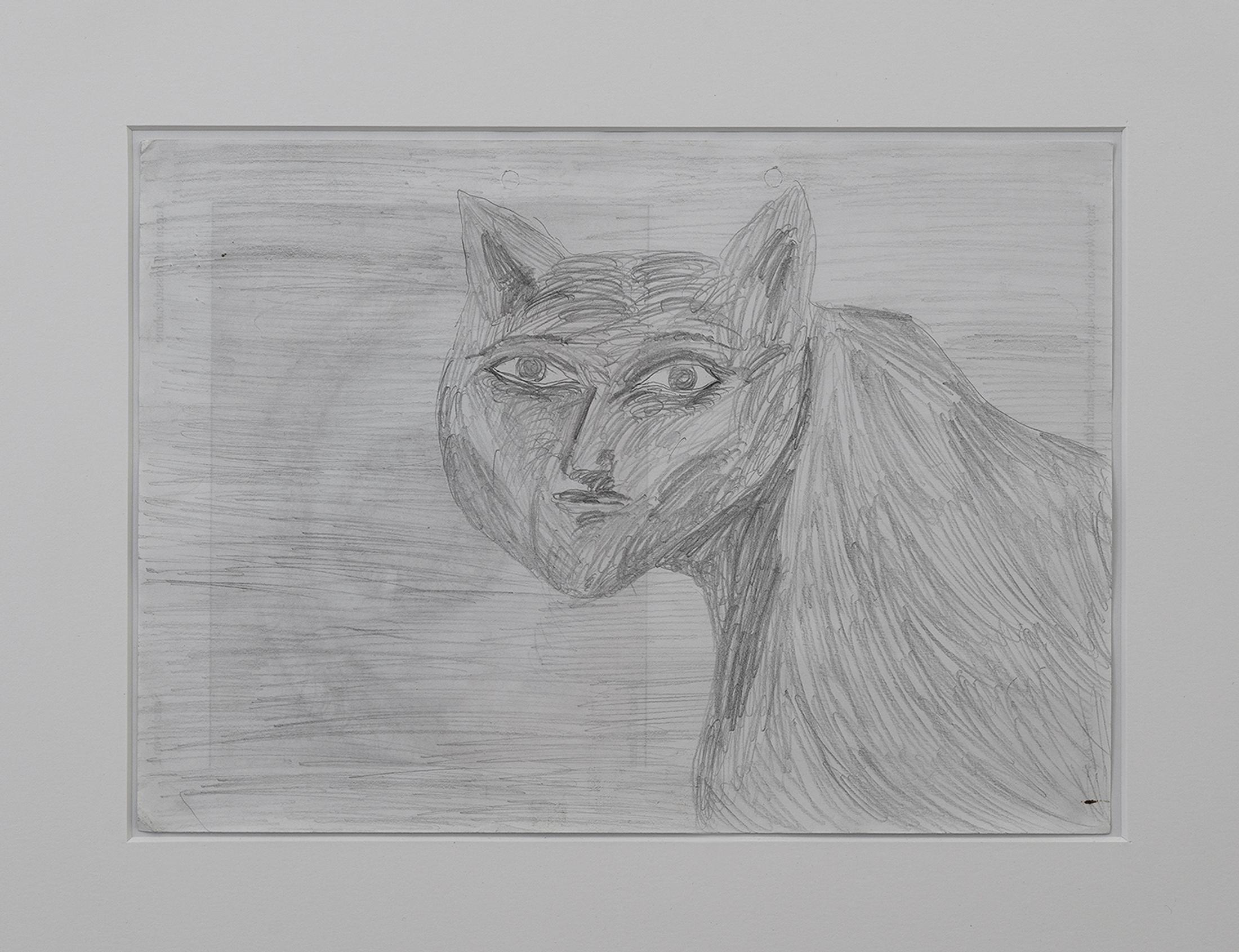 Exhibition View Philipp Simon Solo Show «Incomplete Nature; view on Philipp Simon, Cat, Framed, 40 × 50 cm, 2014» at Kirchgasse Gallery, Steckborn, 2022 / Photo: Cedric Mussano / Courtesy: the artist and Kirchgasse Gallery