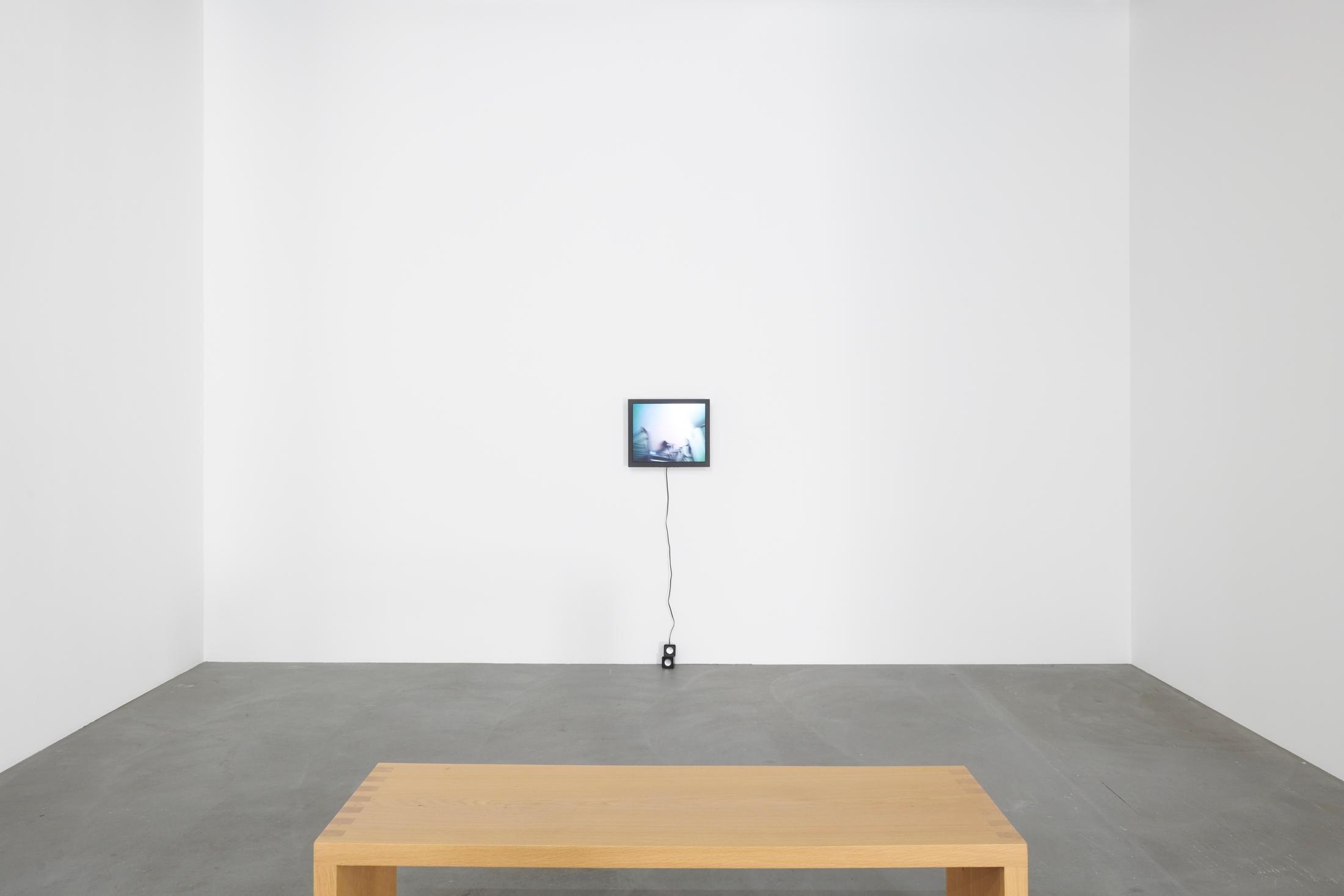 Exhibition View Groupshow «Plattform20; view on Tiphanie Kim Mall, Hauskatze, 2020, Video, Audio, 23'» at Fri Art, Fribourg, 2020 / Photo: © Guillaume Python / Courtesy: the artists and Fri Art