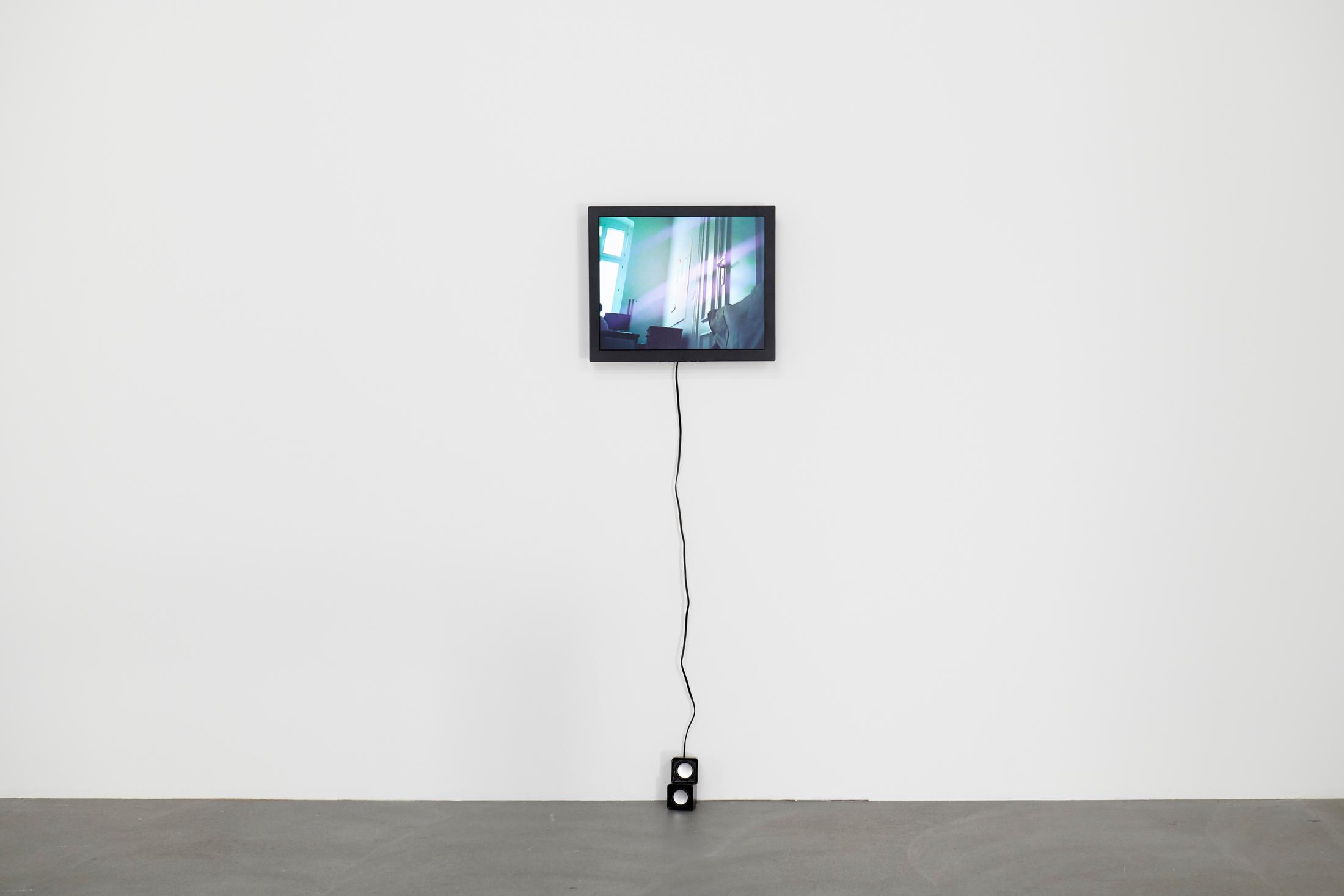 Exhibition View Groupshow «Plattform20; view on Tiphanie Kim Mall, Hauskatze, 2020, Video, Audio, 23'» at Fri Art, Fribourg, 2020 / Photo: © Guillaume Python / Courtesy: the artists and Fri Art