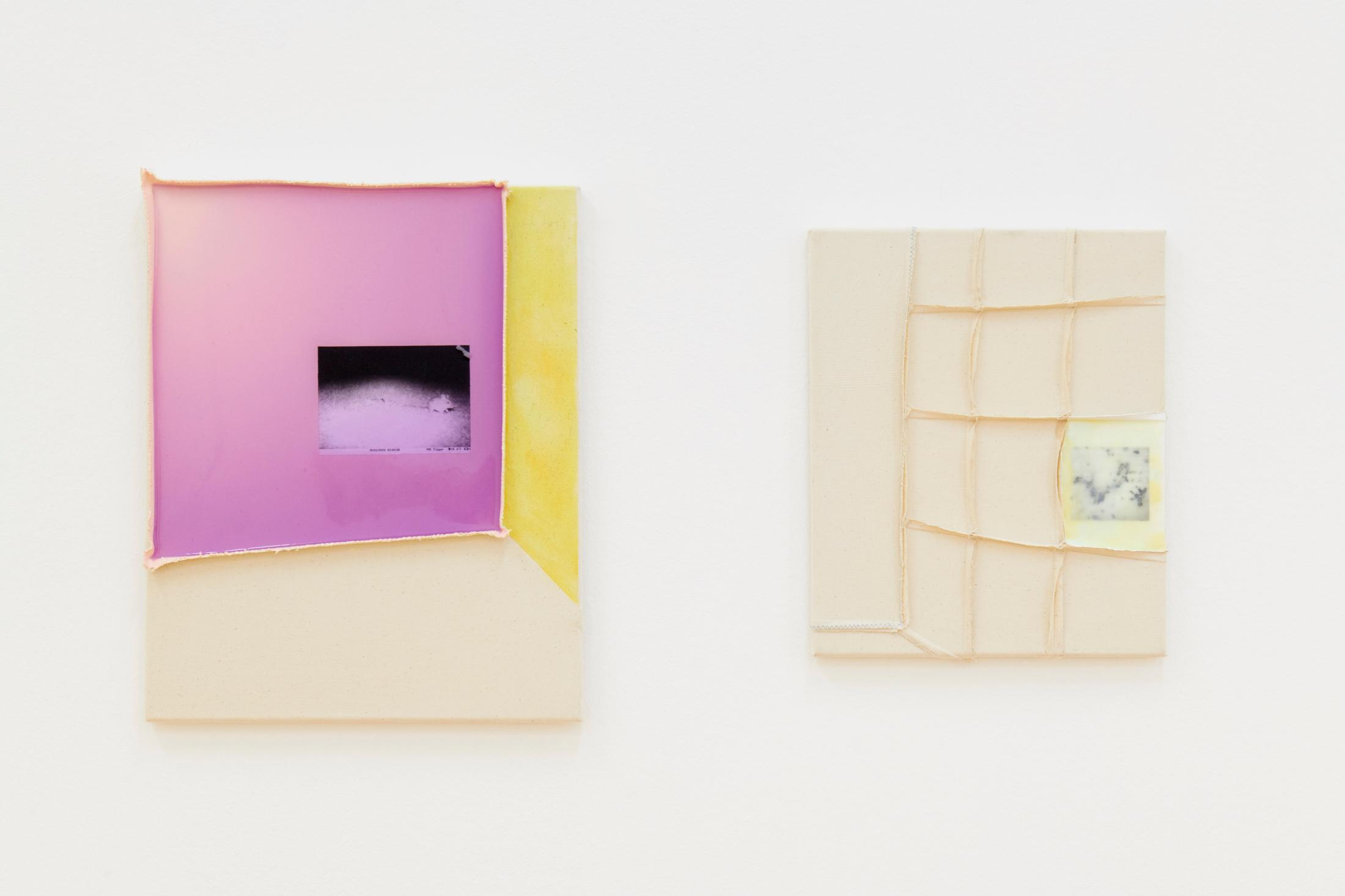 Exhibition View Groupshow «Plattform20; view on Anita Semadeni, secca scatuli. die Staubmaus, 2020, acrylic, colour pencil, photograph and resin on cotton, 40 × 50 cm and i’ll wait for you at the corner. oder wie sich bakterien der milch in ketten vermehren., 2020, acrylic, encaustic and photograph on cotton, 33 × 40 cm» at Fri Art, Fribourg, 2020 / Photo: © Guillaume Python / Courtesy: the artists and Fri Art