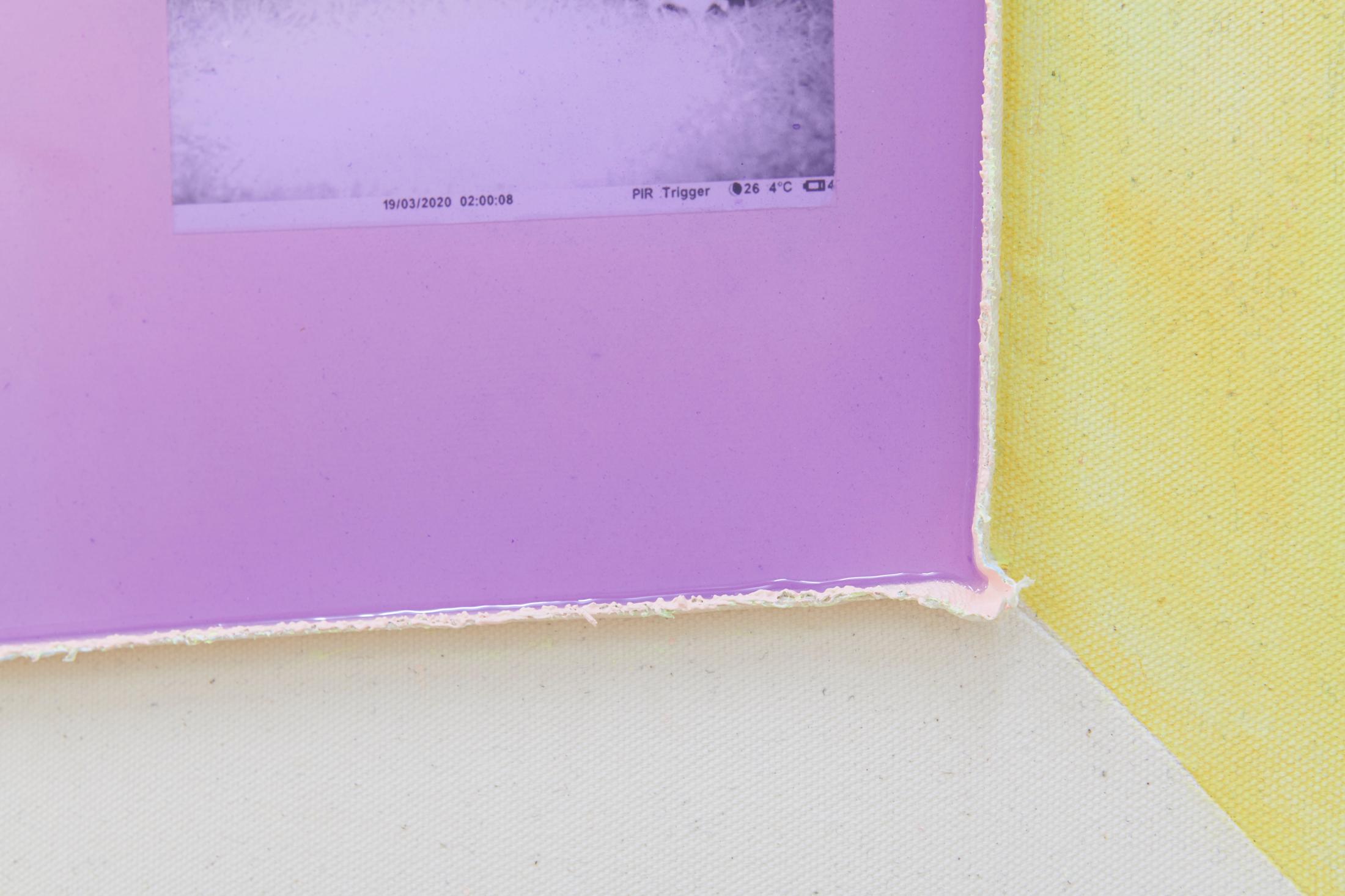 Exhibition View Groupshow «Plattform20; view on Anita Semadeni, secca scatuli. die Staubmaus, 2020, acrylic, colour pencil, photograph and resin on cotton, 40 × 50 cm (detail)» at Fri Art, Fribourg, 2020 / Photo: © Guillaume Python / Courtesy: the artists and Fri Art