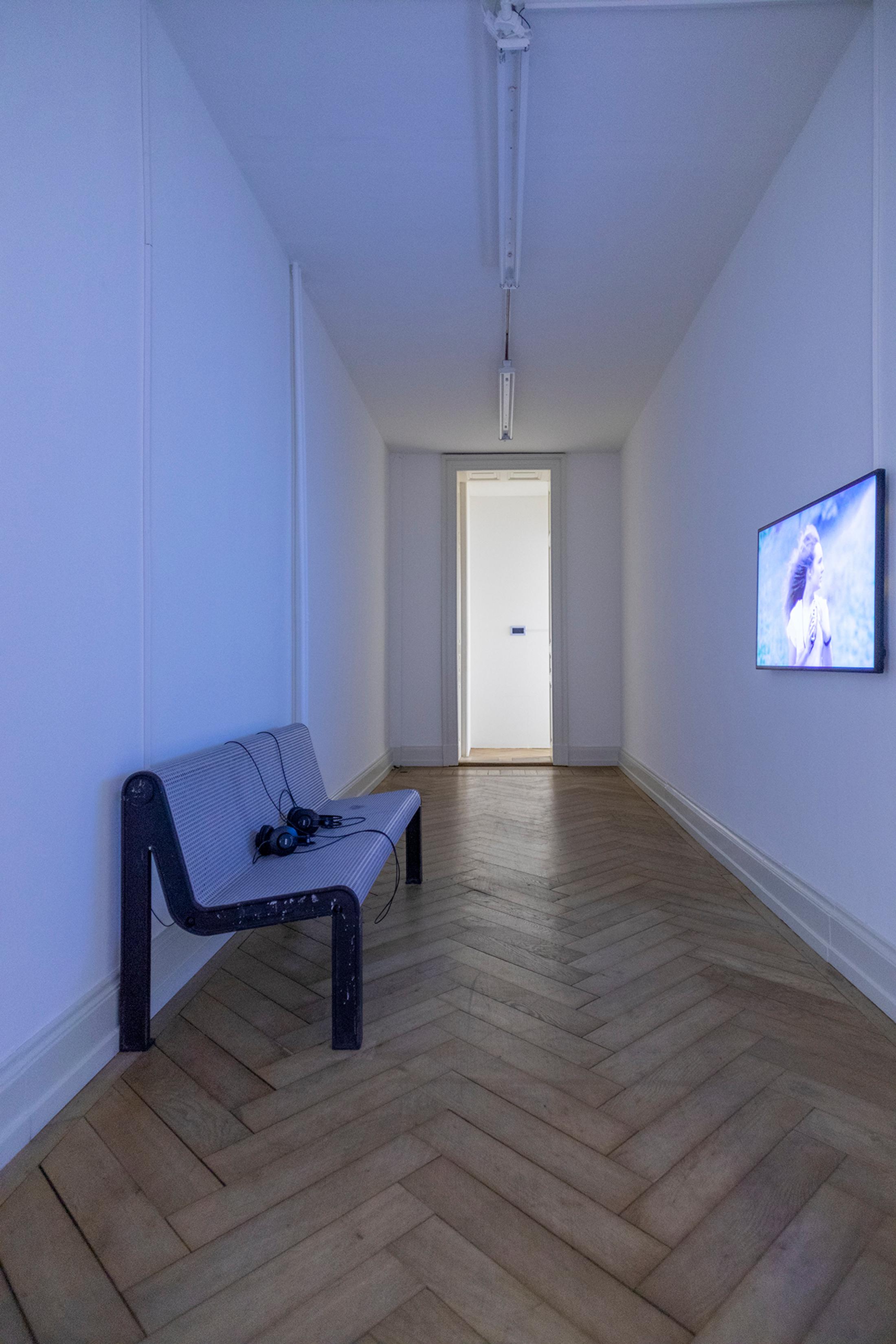 Exhibition View Group Show «Plattform22, view on Nicolas Ponce Phenomena, 2022» at Kunsthalle Palazzo, Liestal, 2022 / Photo: Guadalupe Ruiz / Courtesy: the artists and Kunsthalle Palazzo