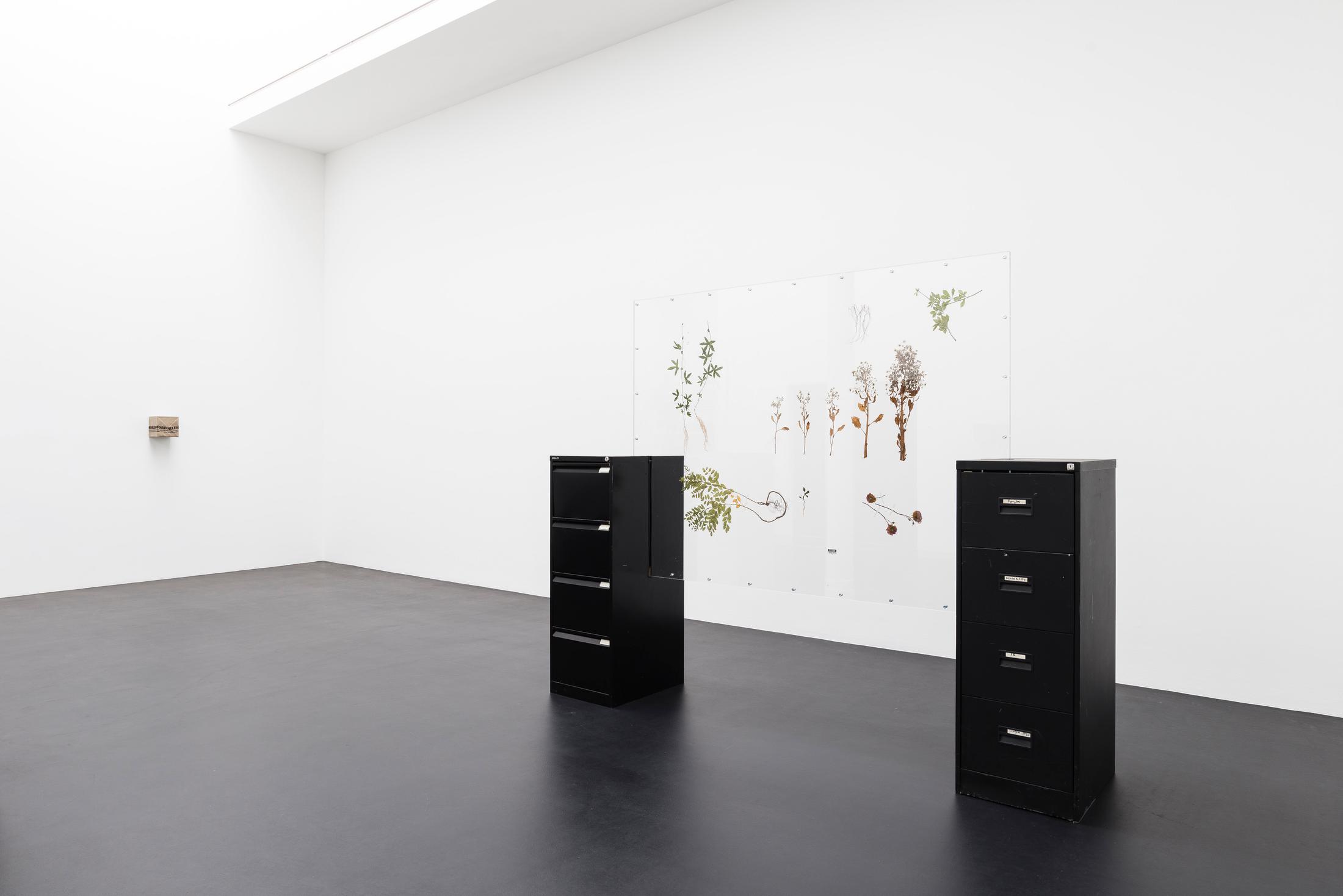 Exhibition View Rachal Bradley Soloshow «Erotics of Infrastructure iii» at Galerie Gregor Staiger, Zurich, 2020 / Courtesy: the artist and Galerie Gregor Staiger