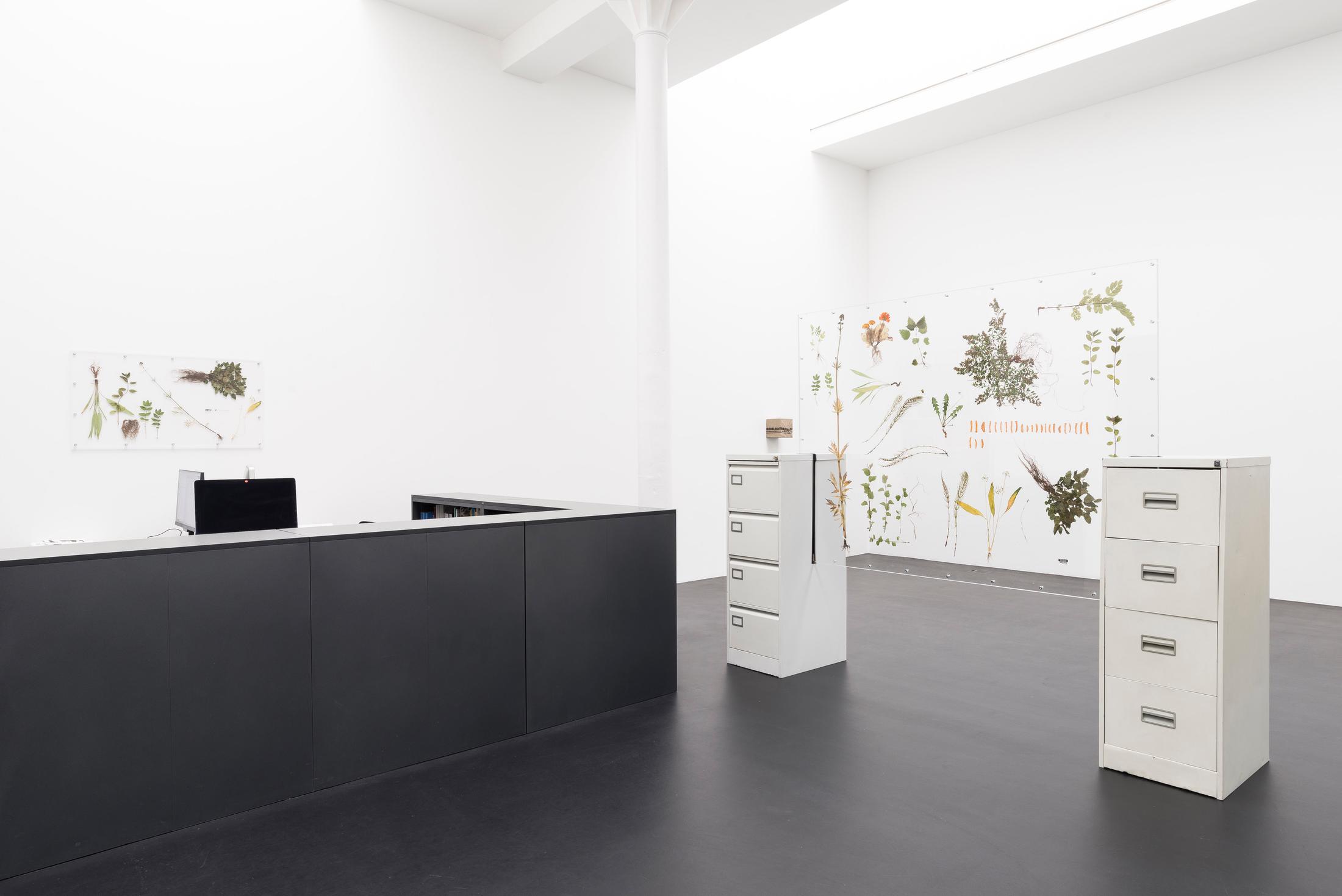 Exhibition View Rachal Bradley Soloshow «Erotics of Infrastructure iii» at Galerie Gregor Staiger, Zurich, 2020 / Courtesy: the artist and Galerie Gregor Staiger