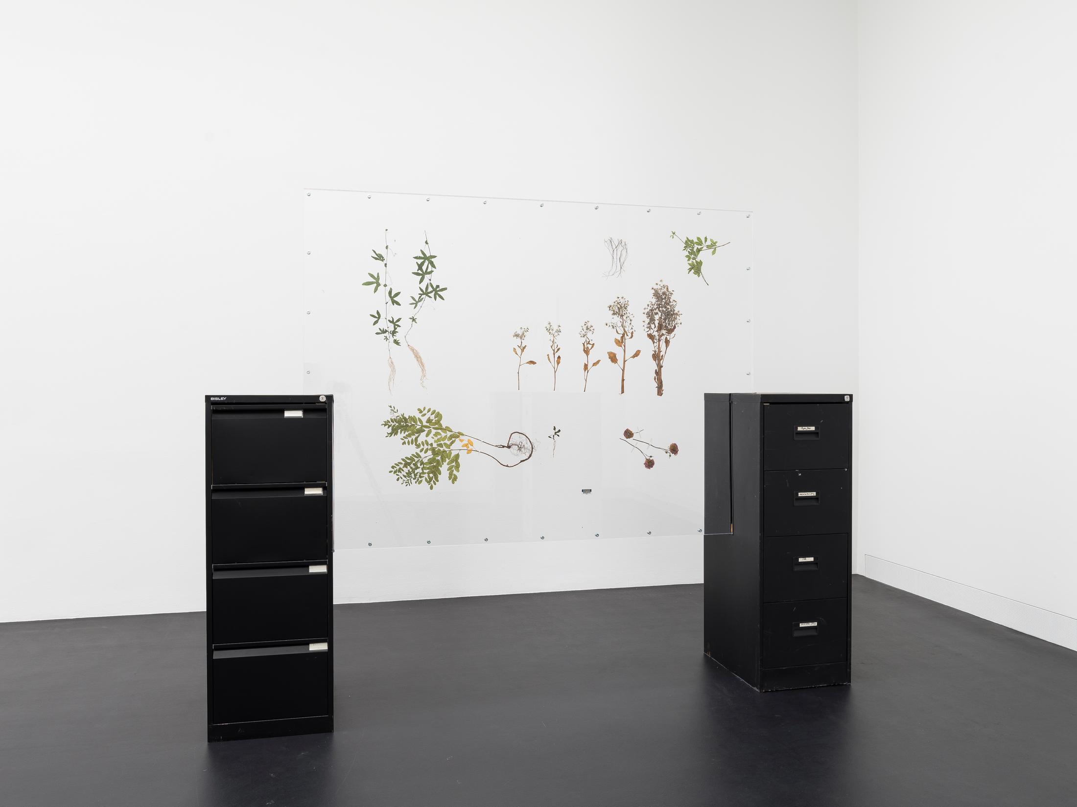 Exhibition View Rachal Bradley Soloshow «Erotics of Infrastructure iii; view on Rachal Bradley, Untitled (black), 2020, Acrylic sheet, metal components, conservator’s adhesive tape, metal filing, cabinet, rubber seal, wood, magnets, adrenal stress diagnostic test, Borago officinalis, Eleutherococcus senticosus, Glycyrrhiza glabra, Passiflora incarnata, Withania somnifera, Rosa Damascena, 275 x 63 x 219 cm» at Galerie Gregor Staiger, Zurich, 2020 / Courtesy: the artist and Galerie Gregor Staiger