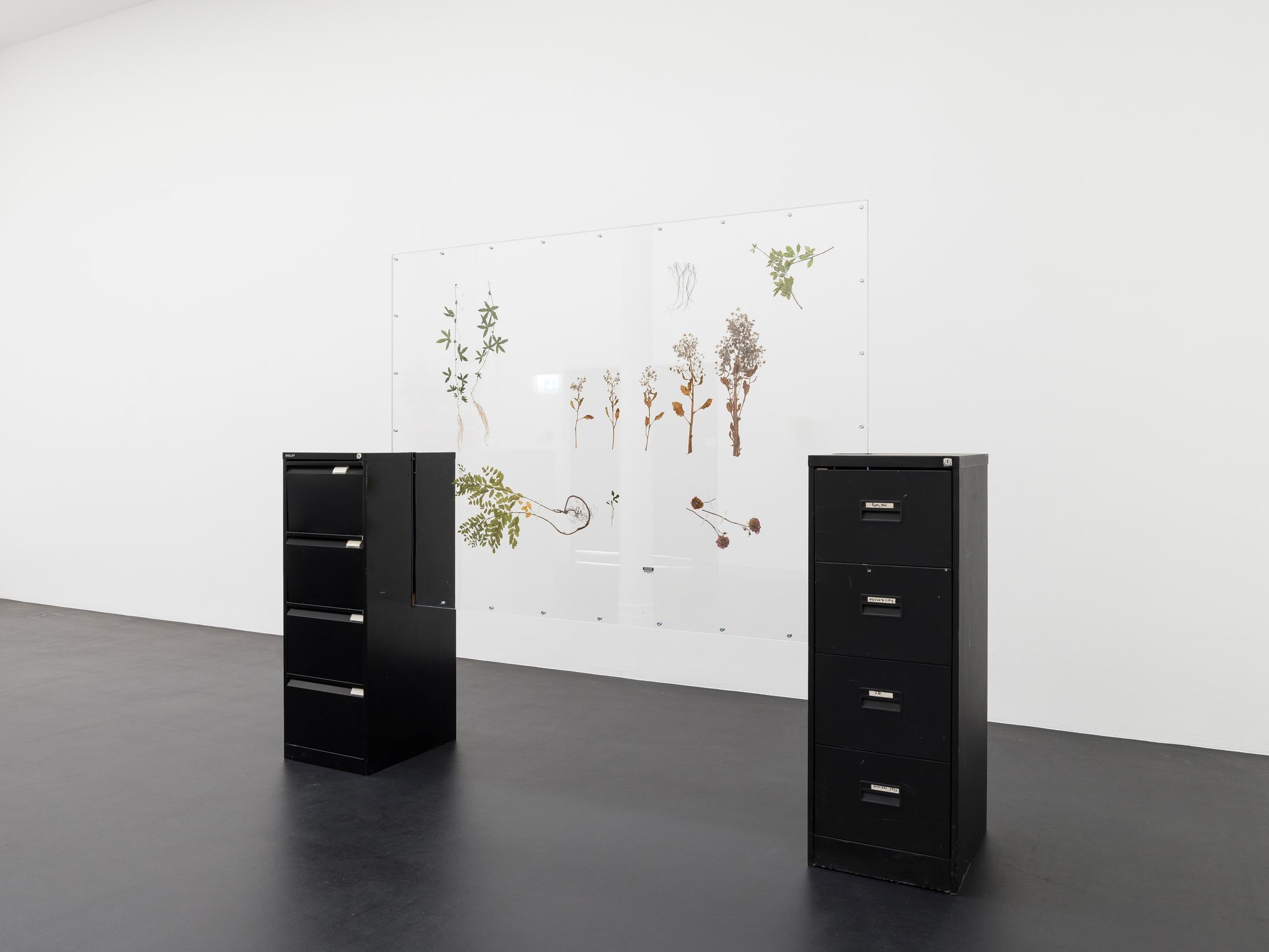Exhibition View Rachal Bradley Soloshow «Erotics of Infrastructure iii; view on Rachal Bradley, Untitled (black), 2020, Acrylic sheet, metal components, conservator’s adhesive tape, metal filing, cabinet, rubber seal, wood, magnets, adrenal stress diagnostic test, Borago officinalis, Eleutherococcus senticosus, Glycyrrhiza glabra, Passiflora incarnata, Withania somnifera, Rosa Damascena, 275 x 63 x 219 cm» at Galerie Gregor Staiger, Zurich, 2020 / Courtesy: the artist and Galerie Gregor Staiger