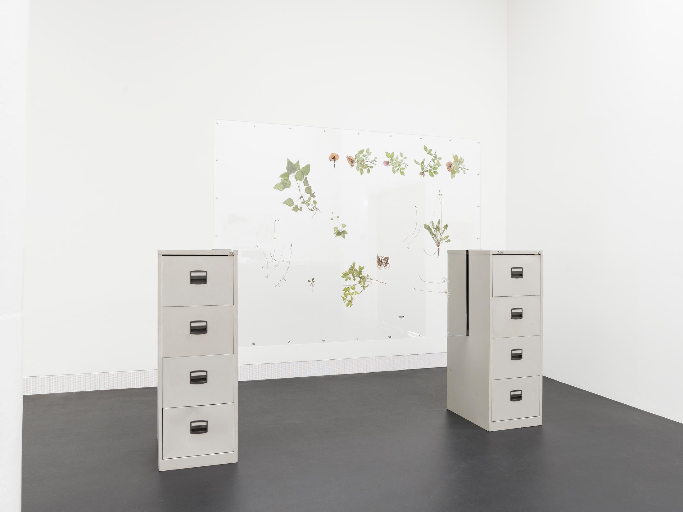 Exhibition View Rachal Bradley Soloshow «Erotics of Infrastructure iii; view on Rachal Bradley, Untitled (mid-grey), 2020, Acrylic sheet, metal components, conservator’s adhesive tape, metal filing cabinet, rubber seal, wood, magnets, adrenal stress diagnostic test, Rosa Damascena, Withania somnifera, Urtica dioica, Eleutherococcus senticosus, Taraxacum, officinalis RADIX, 275 x 63 x 219 cm» at Galerie Gregor Staiger, Zurich, 2020 / Courtesy: the artist and Galerie Gregor Staiger