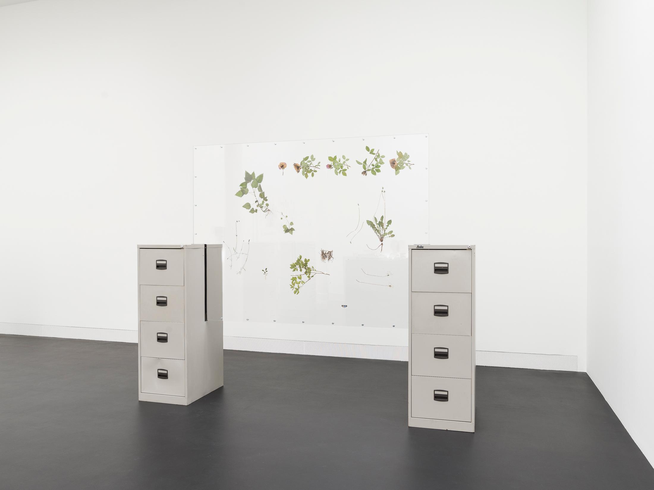 Exhibition View Rachal Bradley Soloshow «Erotics of Infrastructure iii; view on Rachal Bradley, Untitled (mid-grey), 2020, Acrylic sheet, metal components, conservator’s adhesive tape, metal filing cabinet, rubber seal, wood, magnets, adrenal stress diagnostic test, Rosa Damascena, Withania somnifera, Urtica dioica, Eleutherococcus senticosus, Taraxacum, officinalis RADIX, 275 x 63 x 219 cm» at Galerie Gregor Staiger, Zurich, 2020 / Courtesy: the artist and Galerie Gregor Staiger