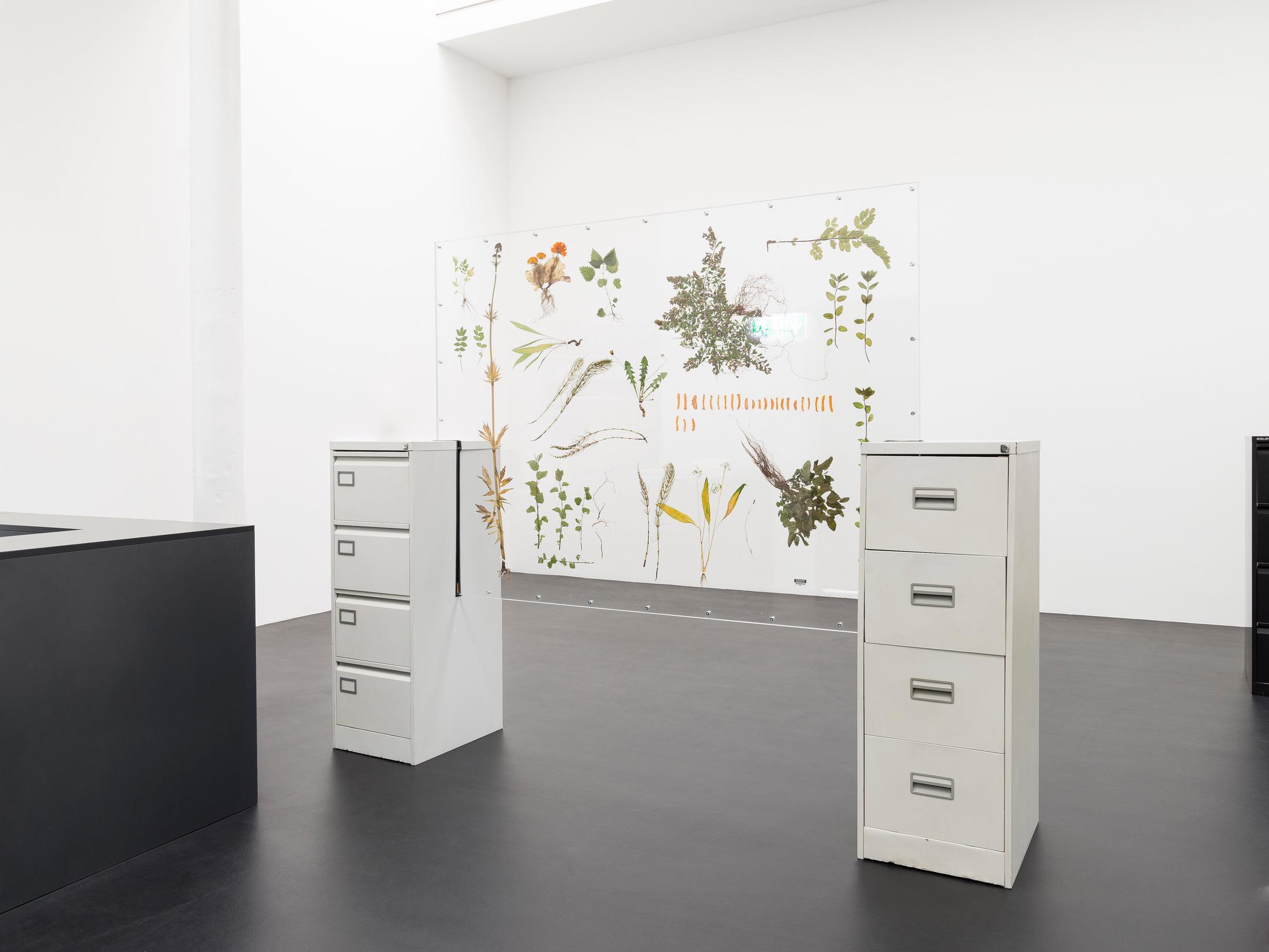 Exhibition View Rachal Bradley Soloshow «Erotics of Infrastructure iii; view on Rachal Bradley, Untitled (light-grey), 2020, Acrylic sheet, metal components, conservator’s adhesive tape, metal filing cabinet, keys, rubber seal, wood, magnets, adrenal stress diagnostic test, Echinacea Purpurea, Curcuma Longa, Filipendula Ulmaria, Glycyrrhiza glabra, Withania somnifera, Melissa Officinalis, Taraxacum Officinalis RADIX, Valeriana Officinalis RADIX, Equisetum Arvense, Arctostaphylos Uva-ursi, Althea Officinalis Folia, Calendula Officinalis, Mentha Piperita, 275 x 63 x 219 cm» at Galerie Gregor Staiger, Zurich, 2020 / Courtesy: the artist and Galerie Gregor Staiger