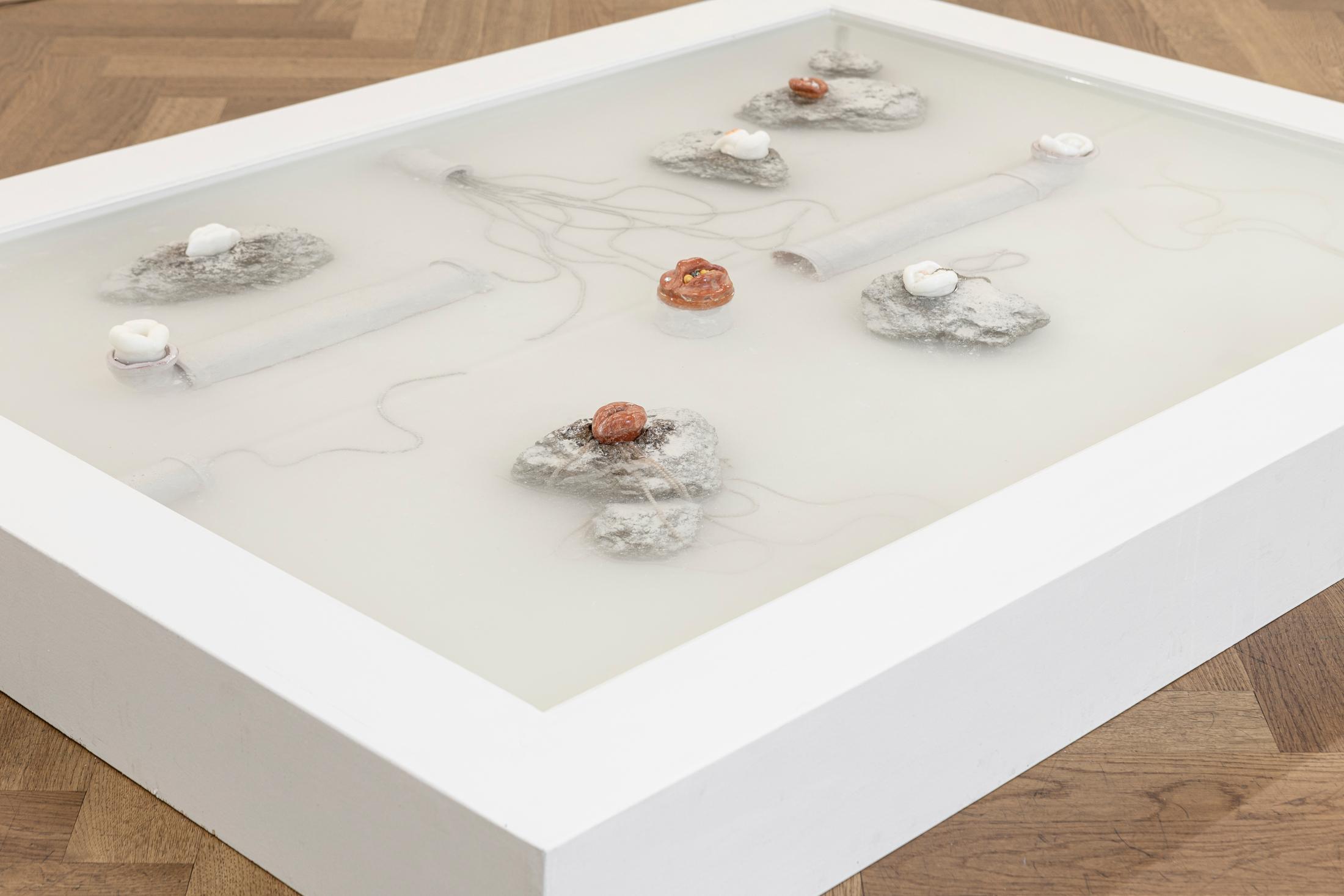 Exhibition View Group Show «Radical Sources; view on Lou Masduraud, Petrifying basin (kisses with the nymphs), 2022» at Krone Couronne, Biel, 2022 / Photo: Michal Florence Schorro / Courtesy: the artists and Krone Coronne