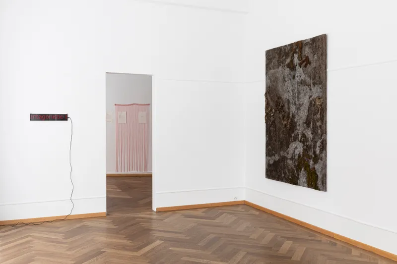 Exhibition View Group Show «Radical Sources» at Krone Couronne, Biel, 2022 / Photo: Michal Florence Schorro / Courtesy: the artists and Krone Coronne