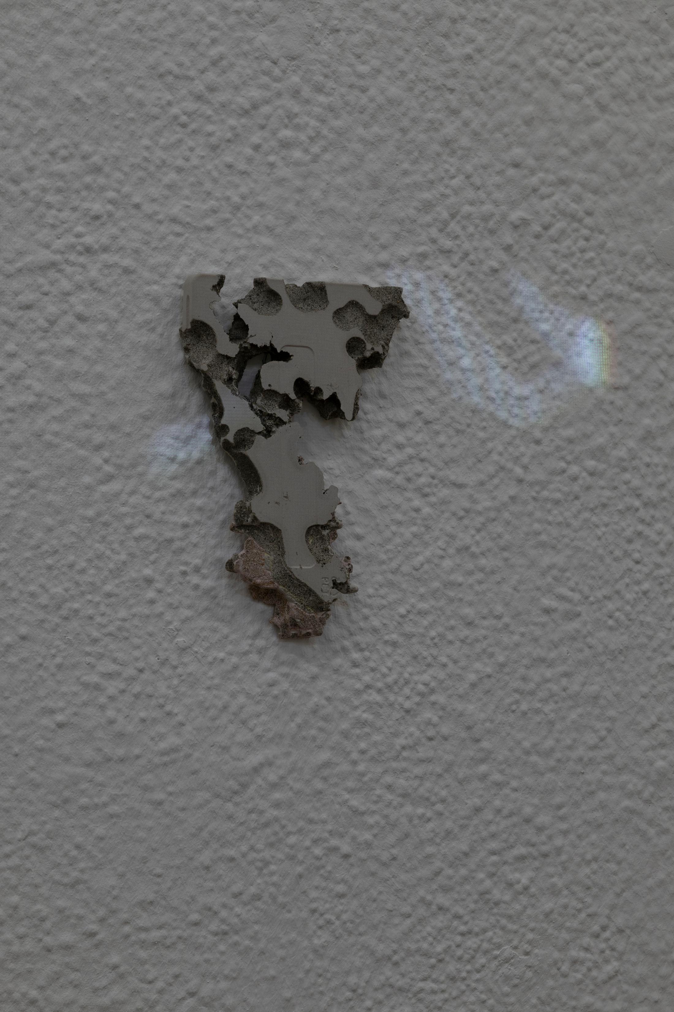 Exhibition View Group Show «Radical Sources» at Krone Couronne, Biel, 2022 / Photo: Michal Florence Schorro / Courtesy: the artists and Krone Coronne