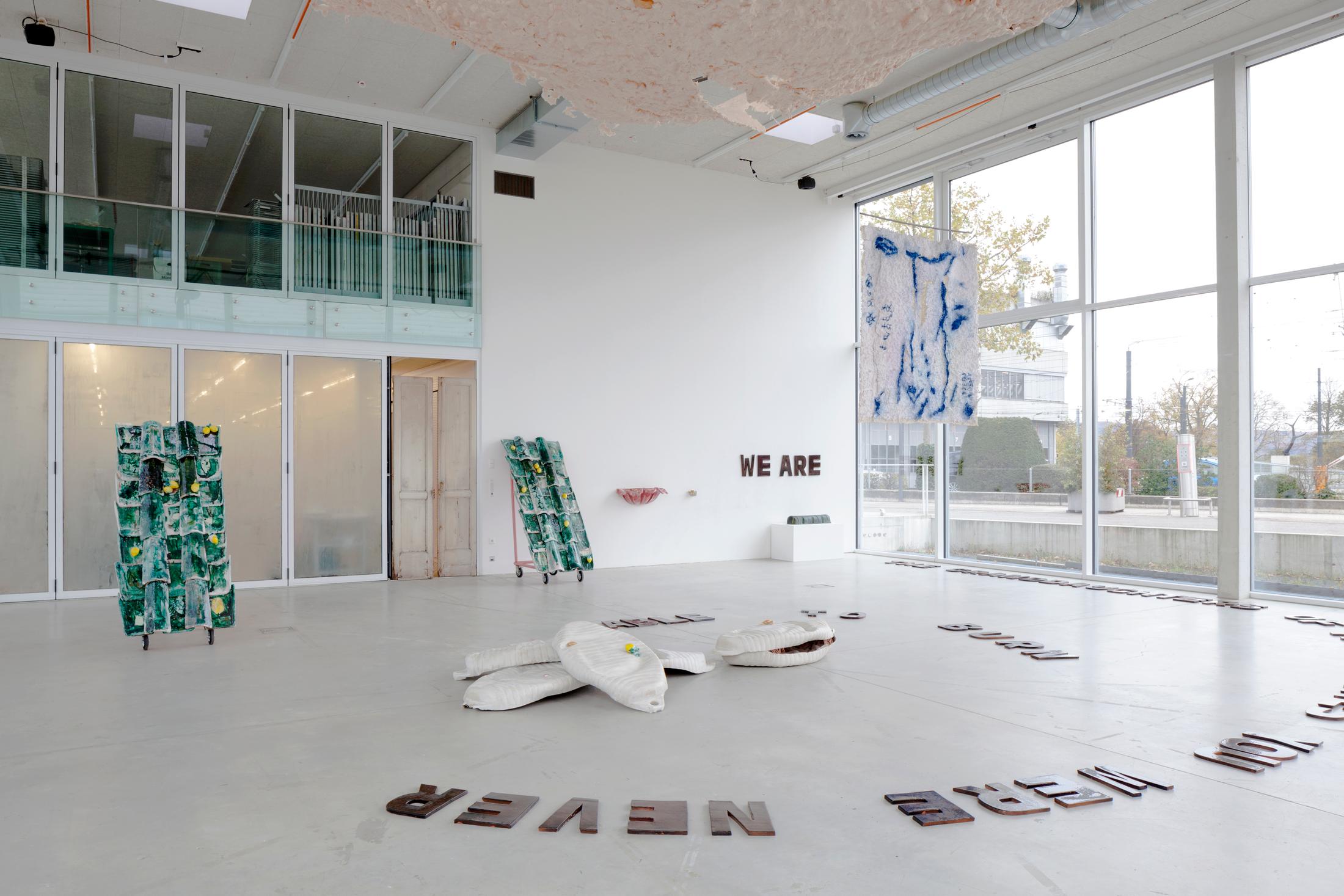 Exhibition View Raffaela Naldi Rossano Soloshow «I Confess» at der TANK, Art Institute HGK FHNW, Basel, 2019 / Photo: Guadalupe Ruiz / Courtesy: the artist