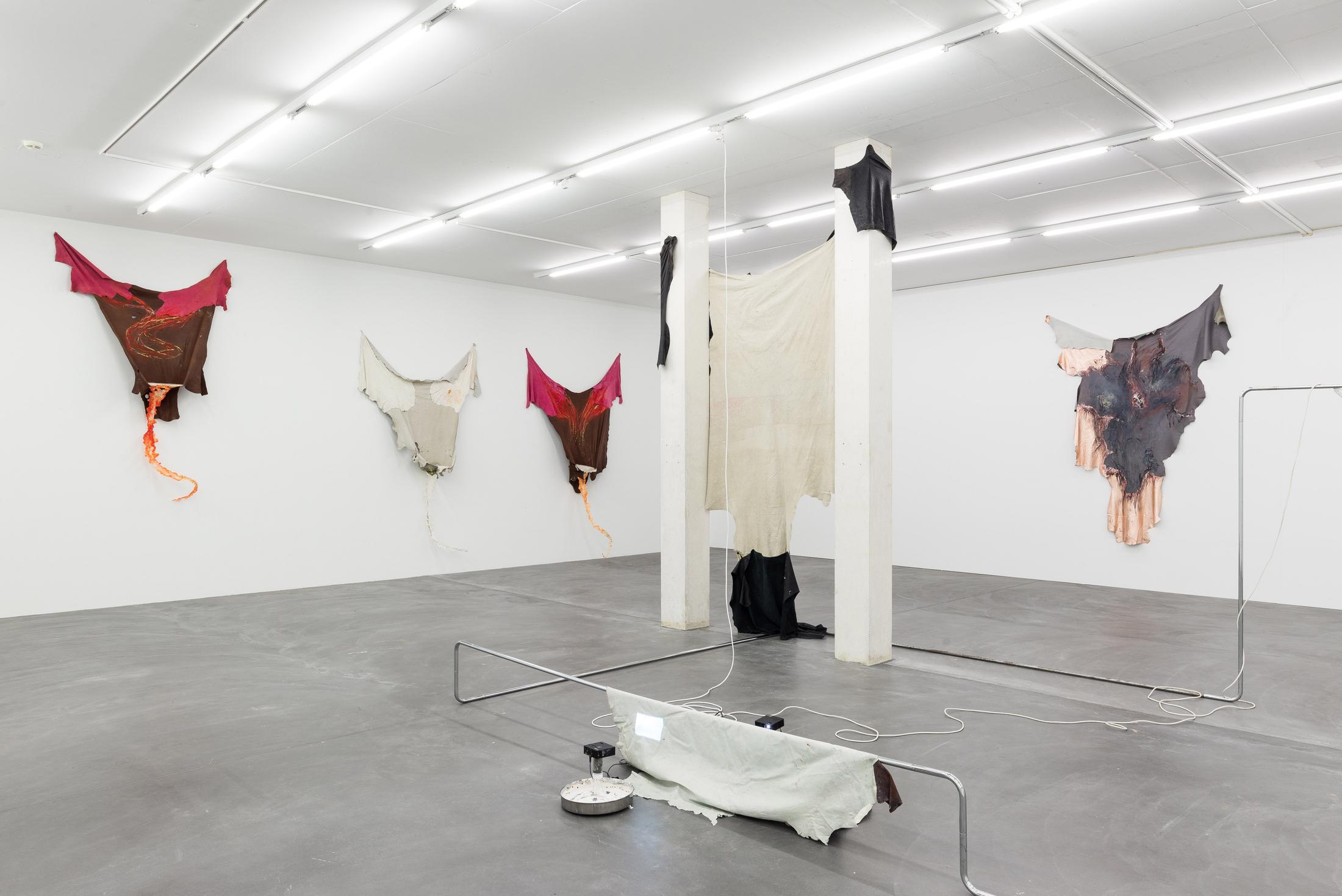 Exhibition View Raphaela Vogel «Gregor’s Loch» at Galerie Gregor Staiger, Zurich, 2018 / Courtesy: the artist, Galerie Gregor Staiger, Zurich & BQ, Berlin / © the artist & Galerie Gregor Staiger, Zurich