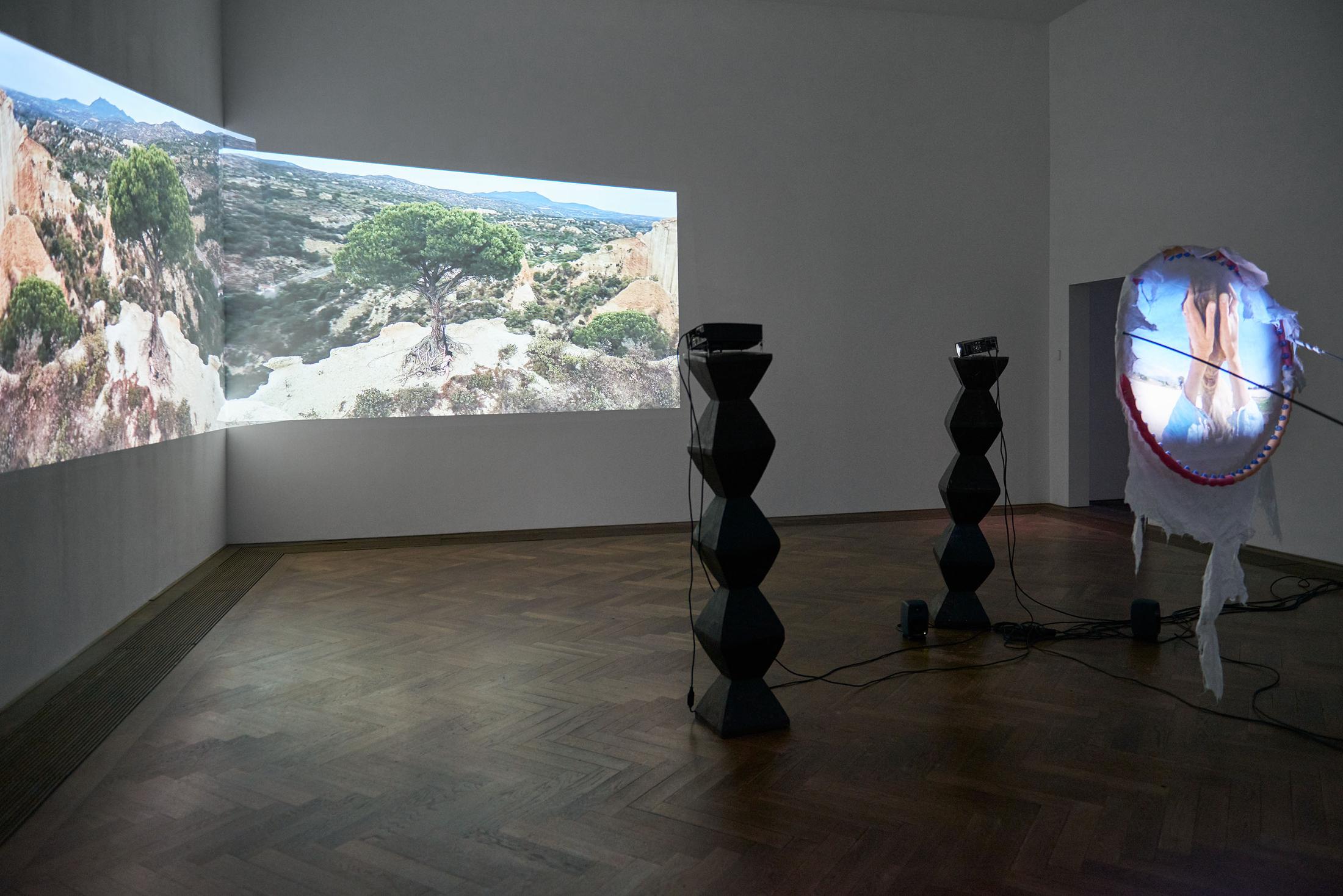 Installation View Raphaela Vogel "Ultranackt – view on Fruit of the Hoop, 2018" at Kunsthalle Basel, 2018 / Photo: Philipp Hänger / Courtesy: the artist and BQ, Berlin