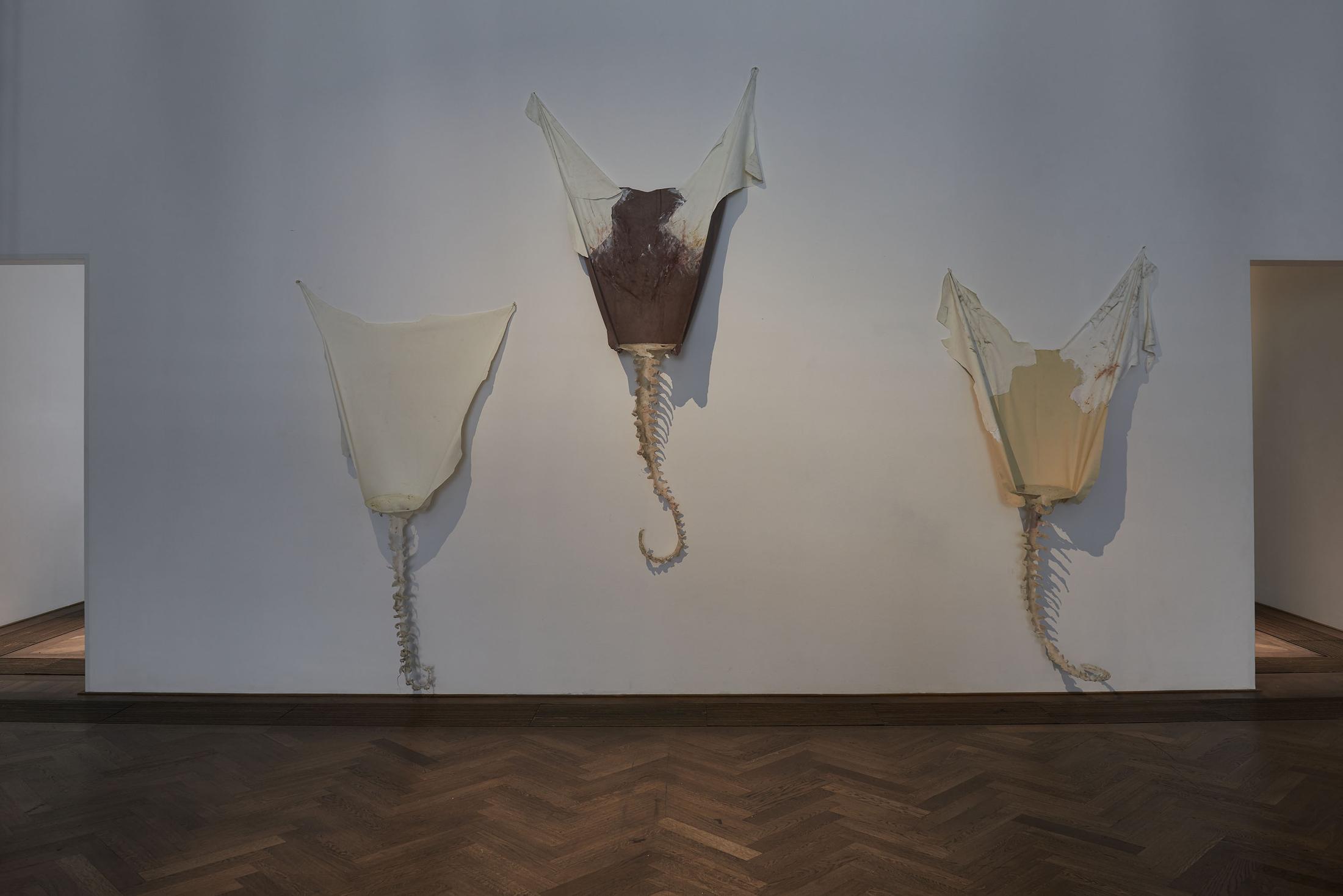 Installation View Raphaela Vogel "Ultranackt – view on Heidi, Vreni, and Alma, all 2018" at Kunsthalle Basel, 2018 / Photo: Philipp Hänger / Courtesy: the artist and BQ, Berlin