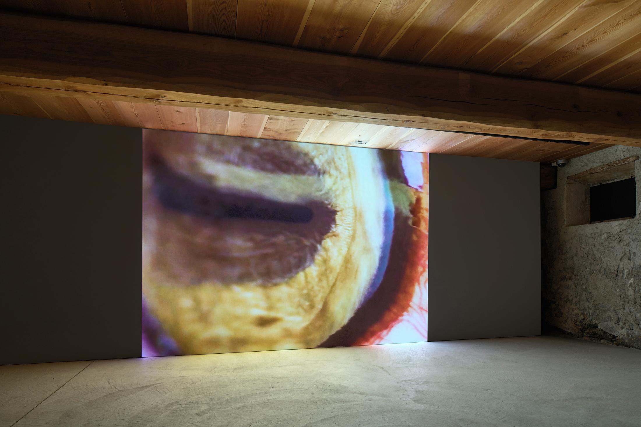 Installation View «REFLECTION about – about REFLECTION» with works by Julian Charrière and Julius von Bismarck at Galerie Tschudi, Zuoz / Photo: Ralph Feiner / Courtesy: Galerie Tschudi, Zuoz and the Artists