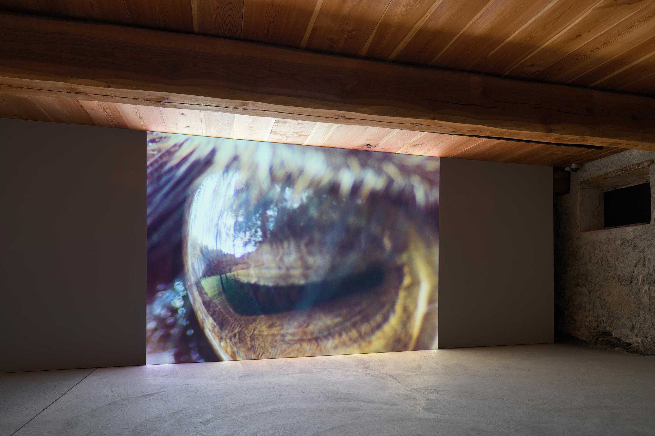 Installation View «REFLECTION about – about REFLECTION» with works by Julian Charrière and Julius von Bismarck at Galerie Tschudi, Zuoz / Photo: Ralph Feiner / Courtesy: Galerie Tschudi, Zuoz and the Artists