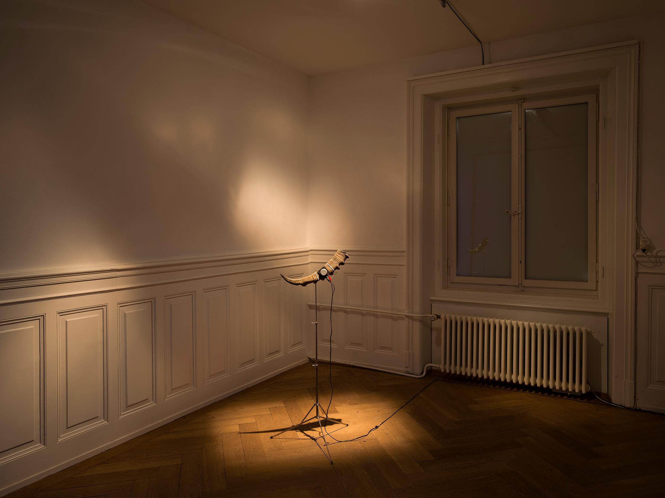 Exhibition View Rémy Bender Solo Show «Perspective du Creux» at Kunsthaus Langenthal, Langenthal, 2023 / Photo: Cedric Mussano / Courtesy: the artist and Kunsthaus Langenthal