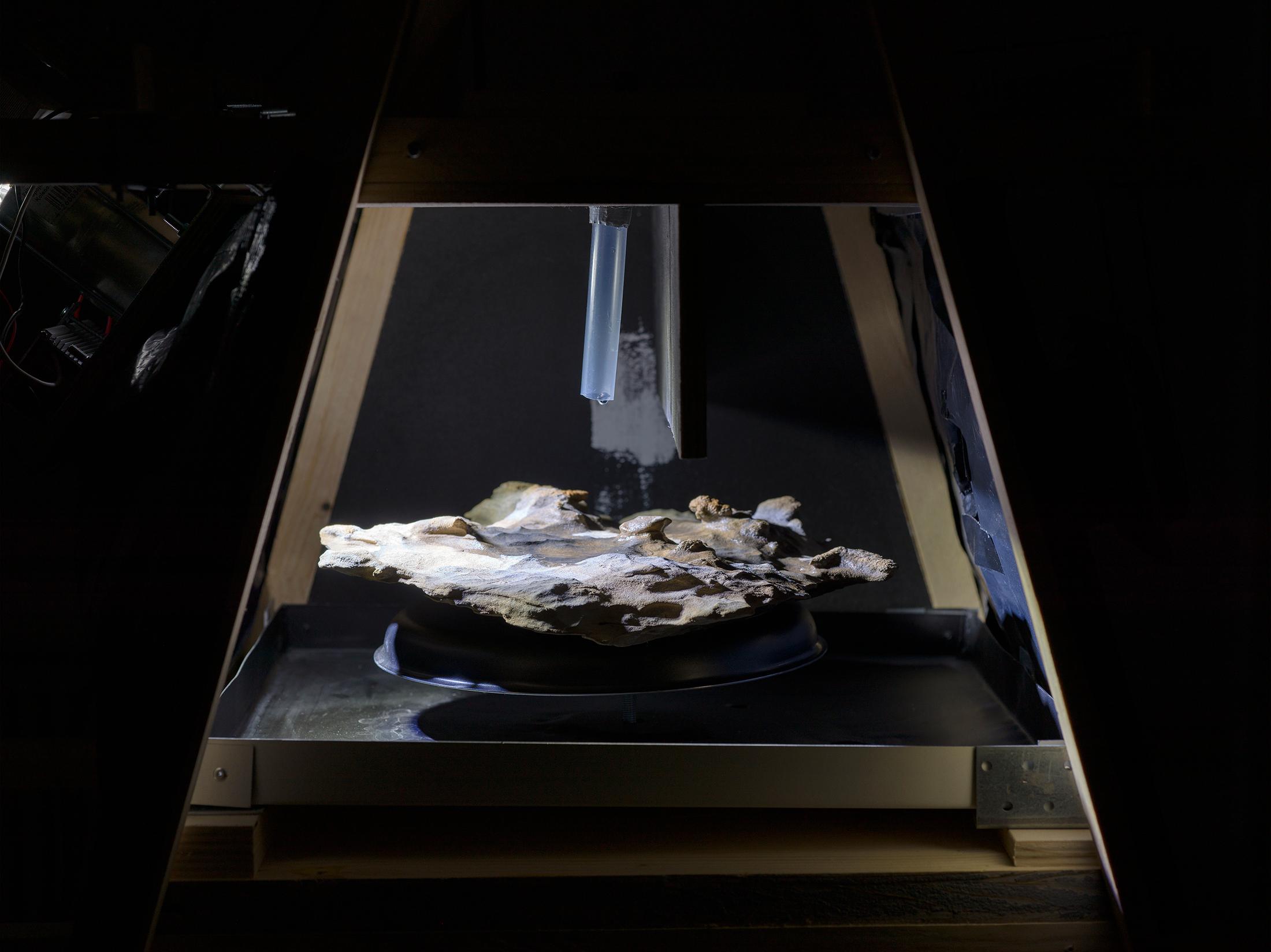 Exhibition View Rémy Bender Solo Show «Perspective du Creux» at Kunsthaus Langenthal, Langenthal, 2023 / Photo: Cedric Mussano / Courtesy: the artist and Kunsthaus Langenthal