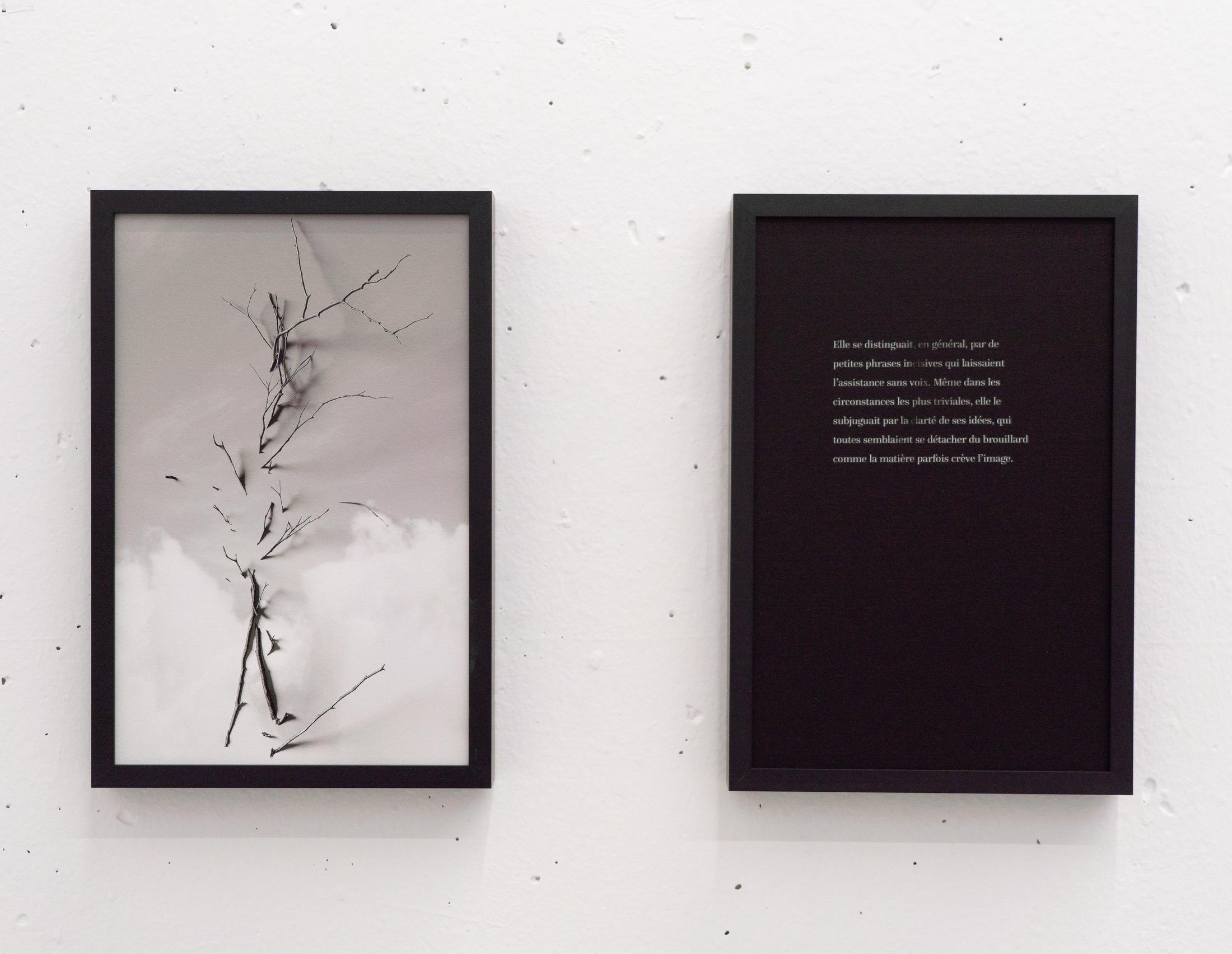 Exhibition View Rinny Gremaud and Mathieu Bernard Soloshow «Splendide; view on La branche, 2019» at Galerie Heinzer Reszler, Lausanne, 2019 / Photo: Julien Gremaud / Courtesy: the artist and Heinzer Reszler