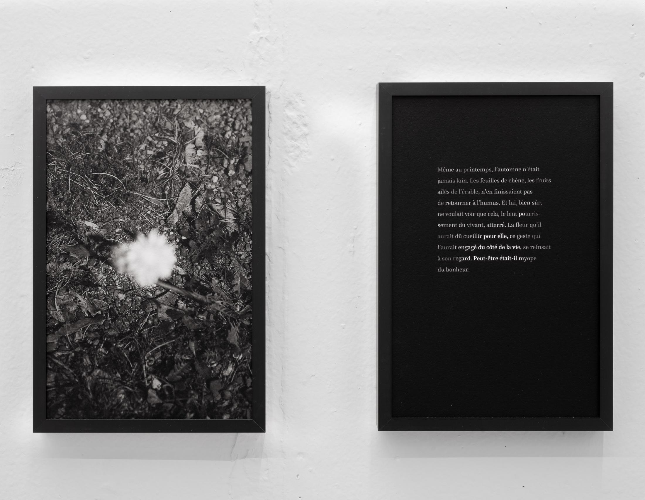 Exhibition View Rinny Gremaud and Mathieu Bernard Soloshow «Splendide; view on La fleur, 2019» at Galerie Heinzer Reszler, Lausanne, 2019 / Photo: Julien Gremaud / Courtesy: the artist and Heinzer Reszler