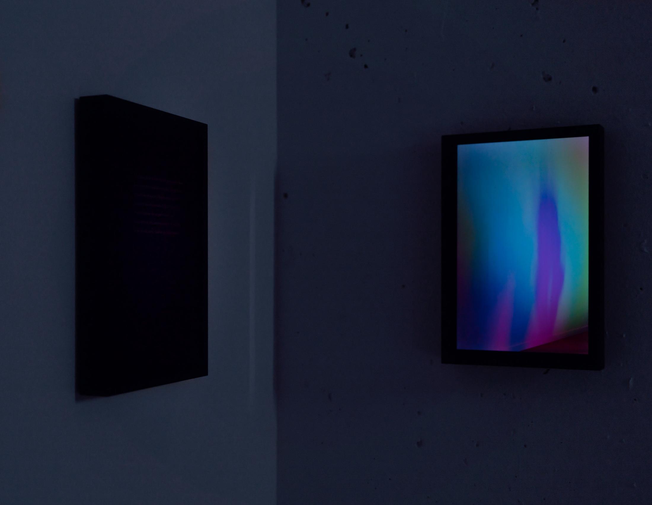 Exhibition View Rinny Gremaud and Mathieu Bernard Soloshow «Splendide; view on Lombre, 2019» at Galerie Heinzer Reszler, Lausanne, 2019 / Photo: Julien Gremaud / Courtesy: the artist and Heinzer Reszler