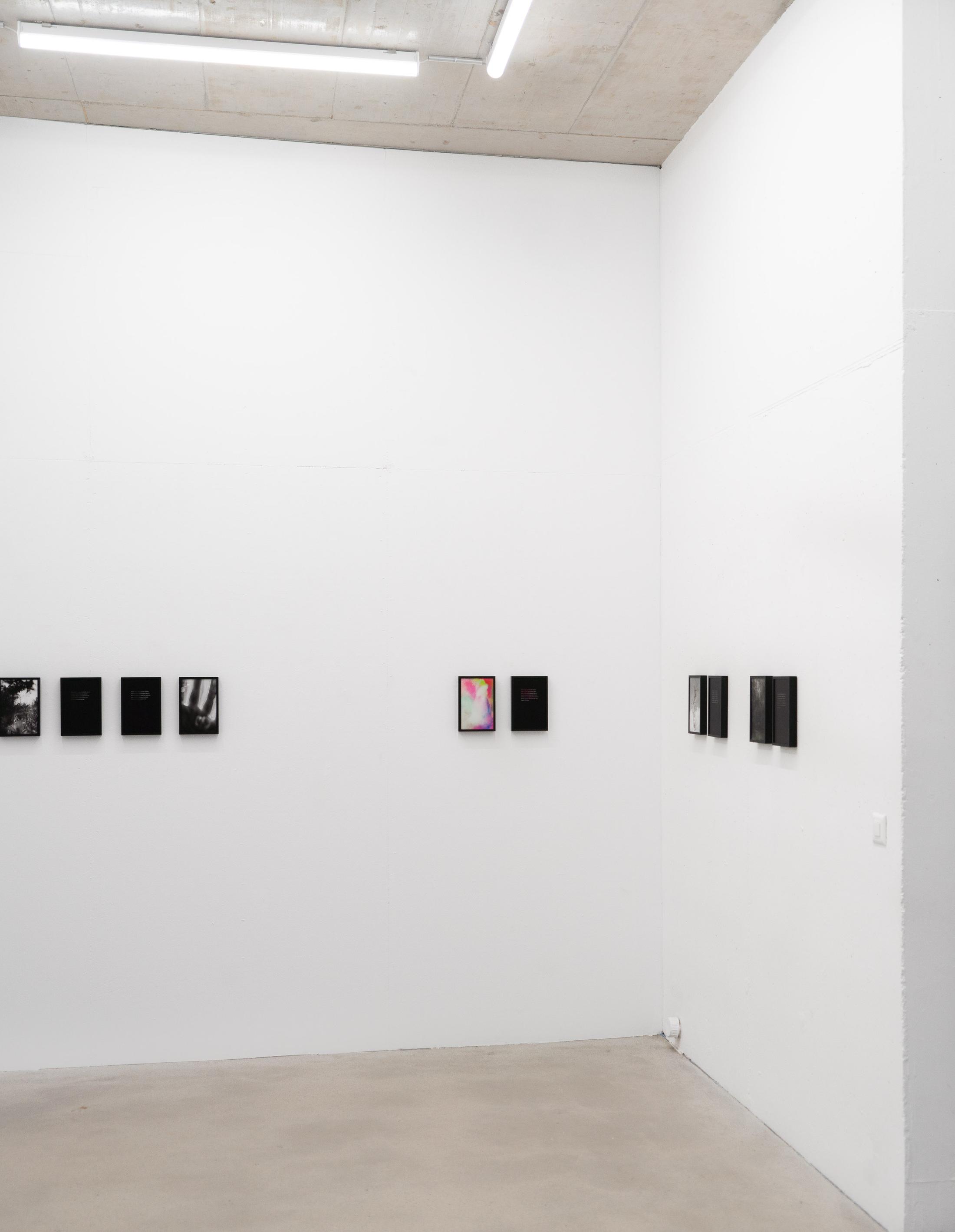 Exhibition View Rinny Gremaud and Mathieu Bernard Soloshow «Splendide» at Galerie Heinzer Reszler, Lausanne, 2019 / Photo: Julien Gremaud / Courtesy: the artist and Heinzer Reszler
