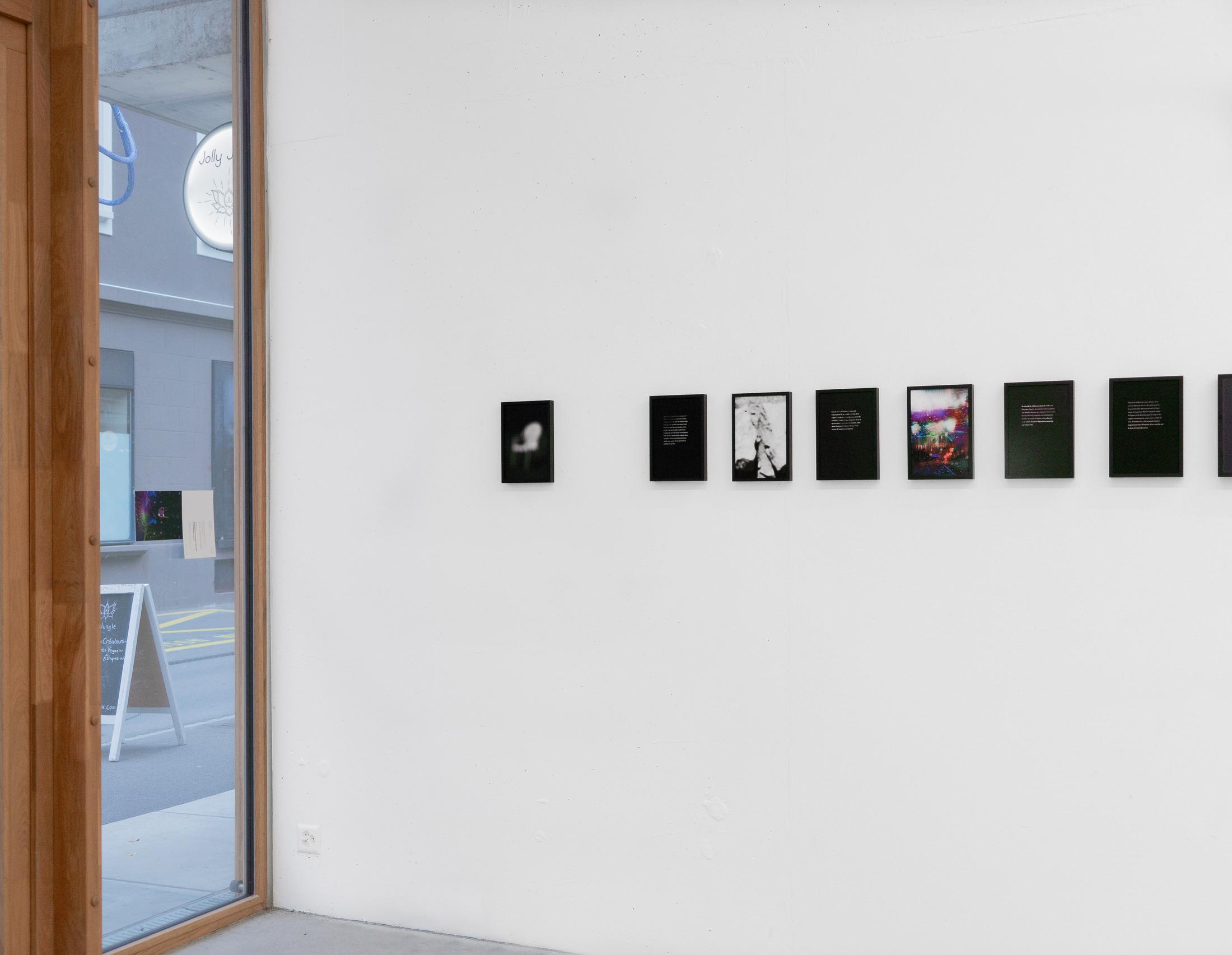 Exhibition View Rinny Gremaud and Mathieu Bernard Soloshow «Splendide» at Galerie Heinzer Reszler, Lausanne, 2019 / Photo: Julien Gremaud / Courtesy: the artist and Heinzer Reszler