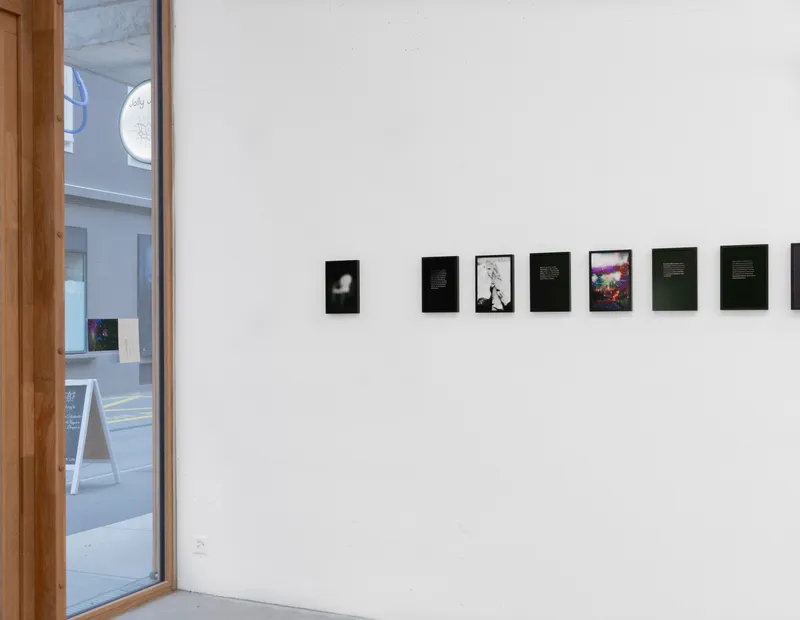 Exhibition View Rinny Gremaud and Mathieu Bernard Soloshow «Splendide» at Galerie Heinzer Reszler, Lausanne, 2019 / Photo: Julien Gremaud / Courtesy: the artist and Heinzer Reszler