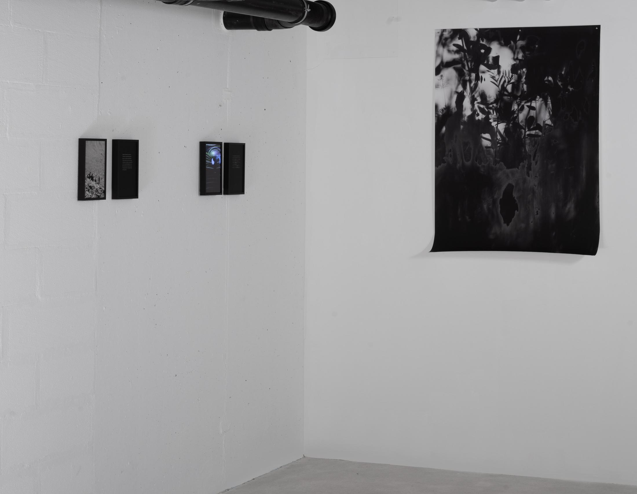 Exhibition View Rinny Gremaud and Mathieu Bernard Soloshow «Splendide» at Galerie Heinzer Reszler, Lausanne, 2019 / Photo: Julien Gremaud / Courtesy: the artist and Heinzer Reszler