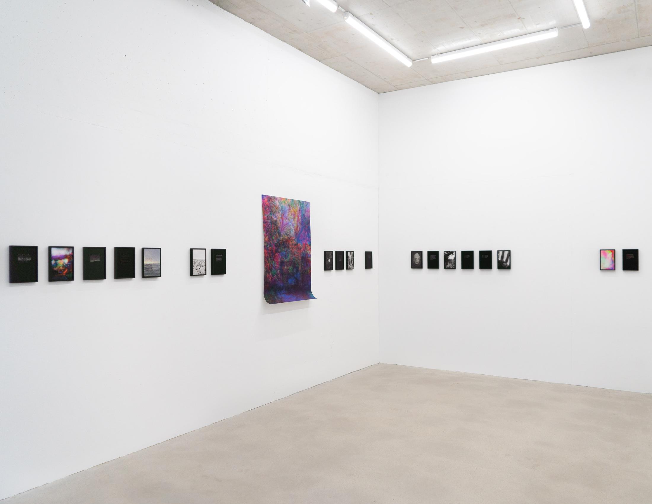 Exhibition View Rinny Gremaud and Mathieu Bernard Soloshow «Splendide» at Galerie Heinzer Reszler, Lausanne, 2019 / Photo: Julien Gremaud / Courtesy: the artist and Heinzer Reszler