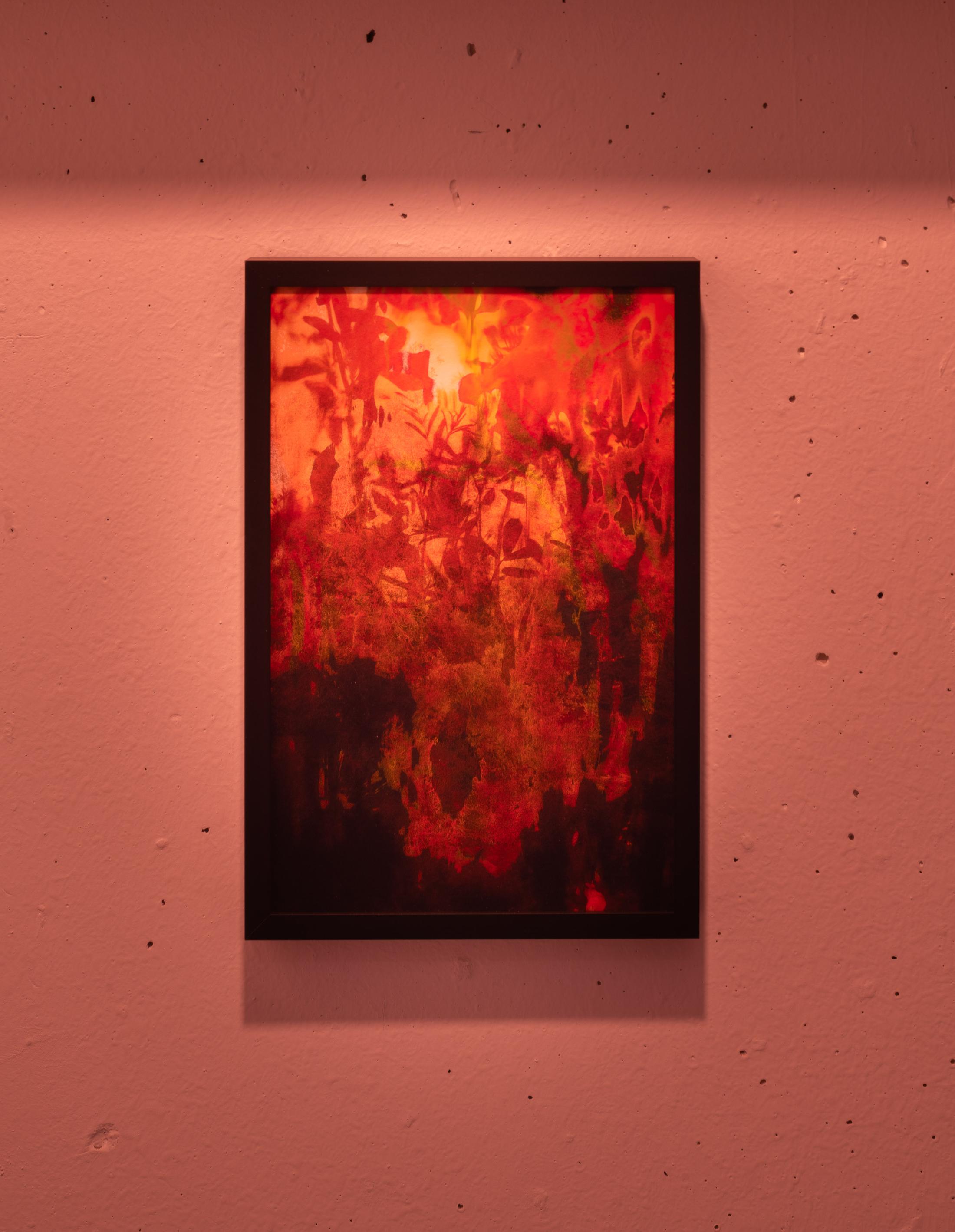 Exhibition view, Splendide, RInny Gremaud and Mathieu BErnard-Reymond at Galerie Heinzer Reszler, 2019