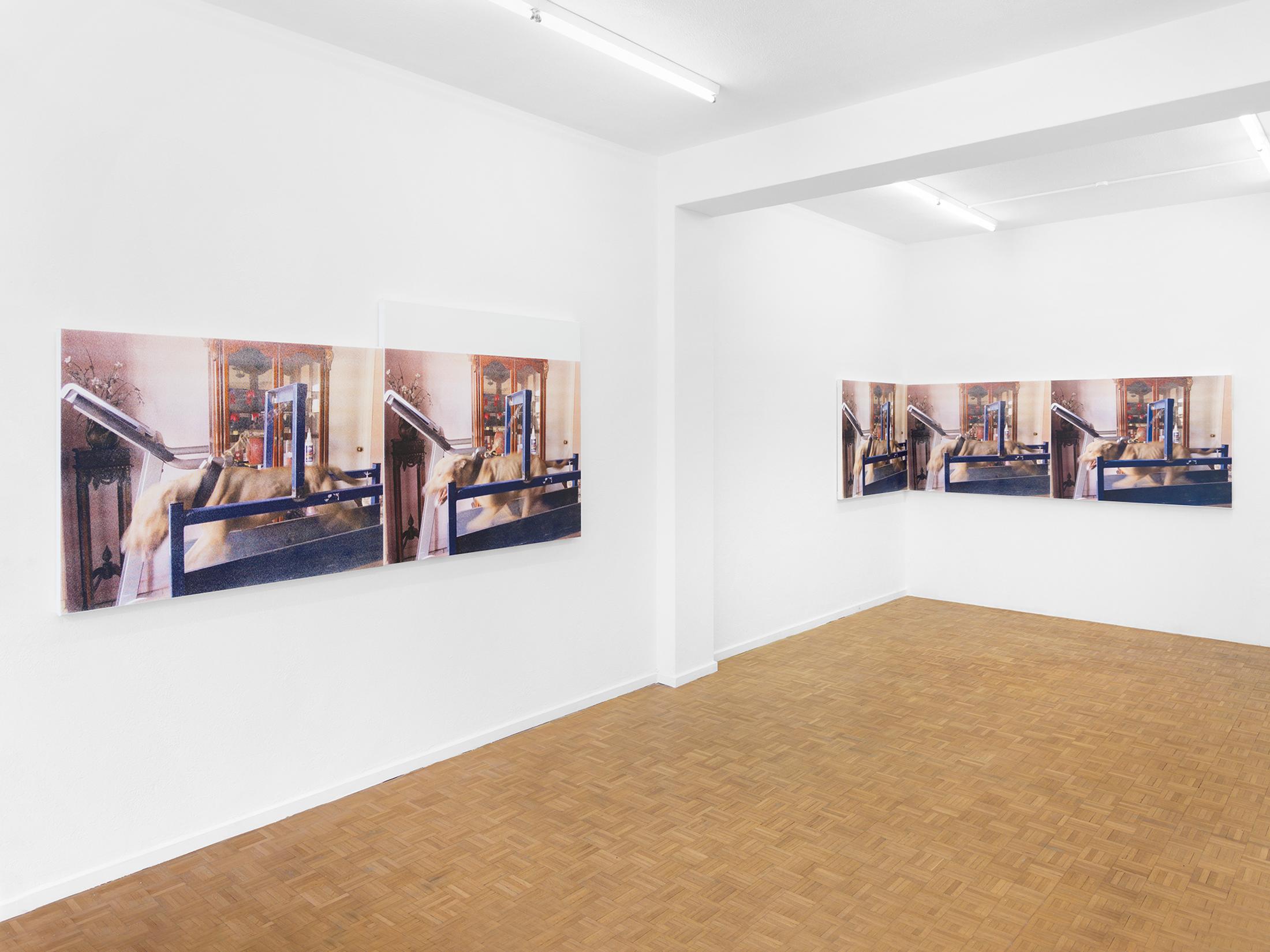 Exhibition View Roman Selim Khereddine Solo Show «Big House Narrow Grave» at Sentiment, Zurich, 2023 / Photo: Philipp Rupp and Julien Gremaud / Courtesy: the artist and Sentiment