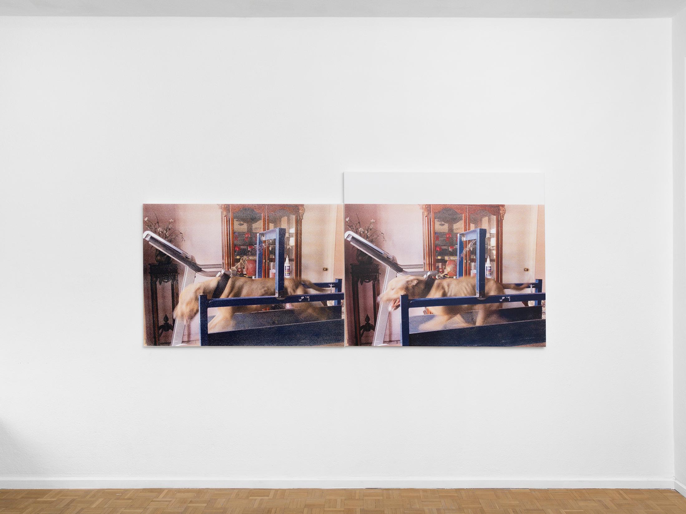 Exhibition View Roman Selim Khereddine Solo Show «Big House Narrow Grave» at Sentiment, Zurich, 2023 / Photo: Philipp Rupp and Julien Gremaud / Courtesy: the artist and Sentiment
