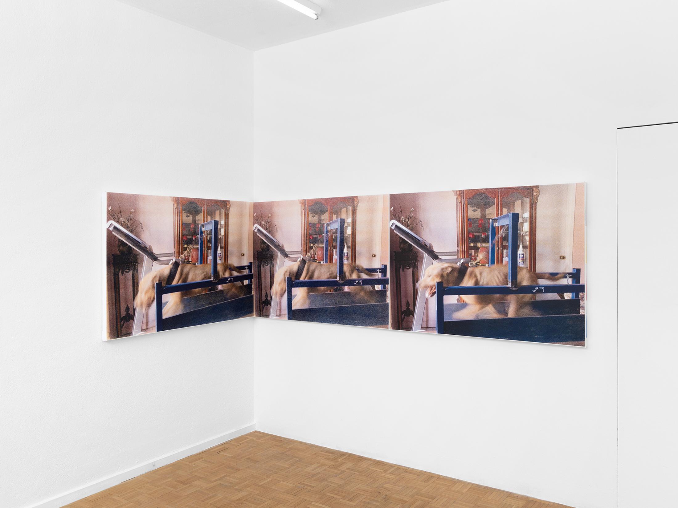 Exhibition View Roman Selim Khereddine Solo Show «Big House Narrow Grave» at Sentiment, Zurich, 2023 / Photo: Philipp Rupp and Julien Gremaud / Courtesy: the artist and Sentiment