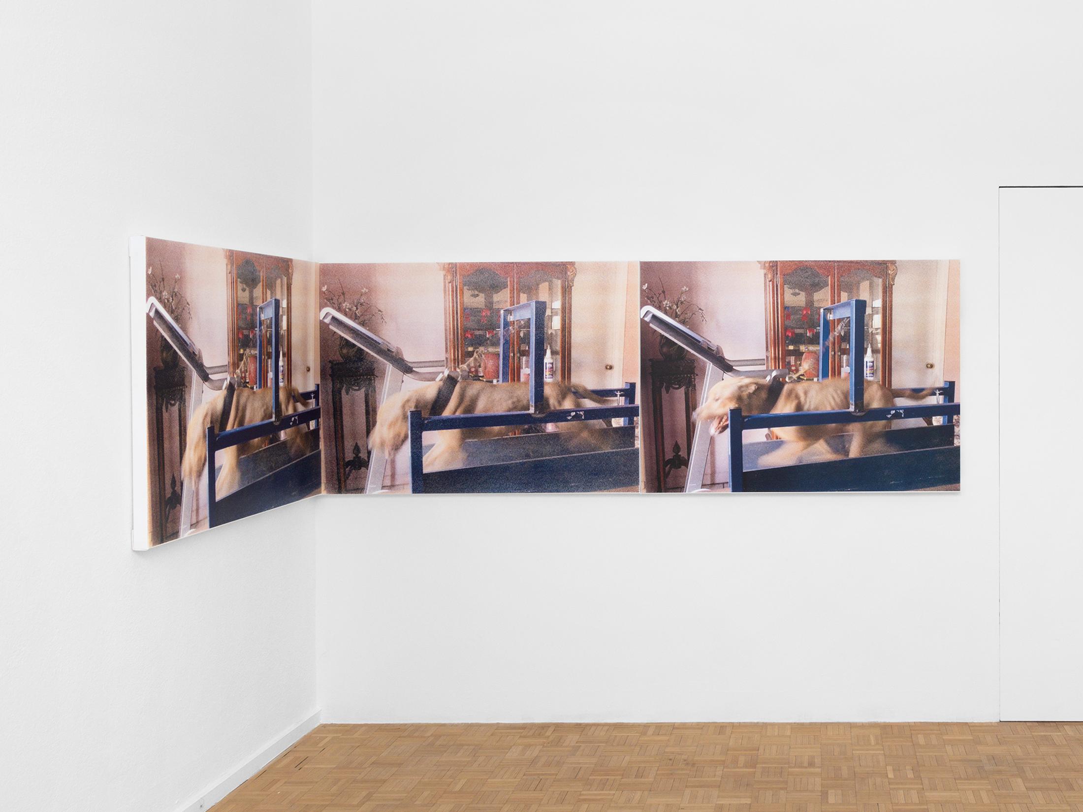 Exhibition View Roman Selim Khereddine Solo Show «Big House Narrow Grave» at Sentiment, Zurich, 2023 / Photo: Philipp Rupp and Julien Gremaud / Courtesy: the artist and Sentiment