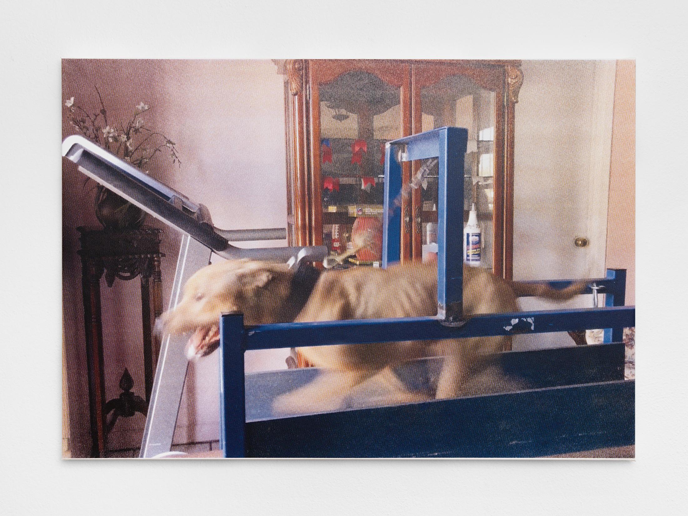 Exhibition View Roman Selim Khereddine Solo Show «Big House Narrow Grave» at Sentiment, Zurich, 2023 / Photo: Philipp Rupp and Julien Gremaud / Courtesy: the artist and Sentiment