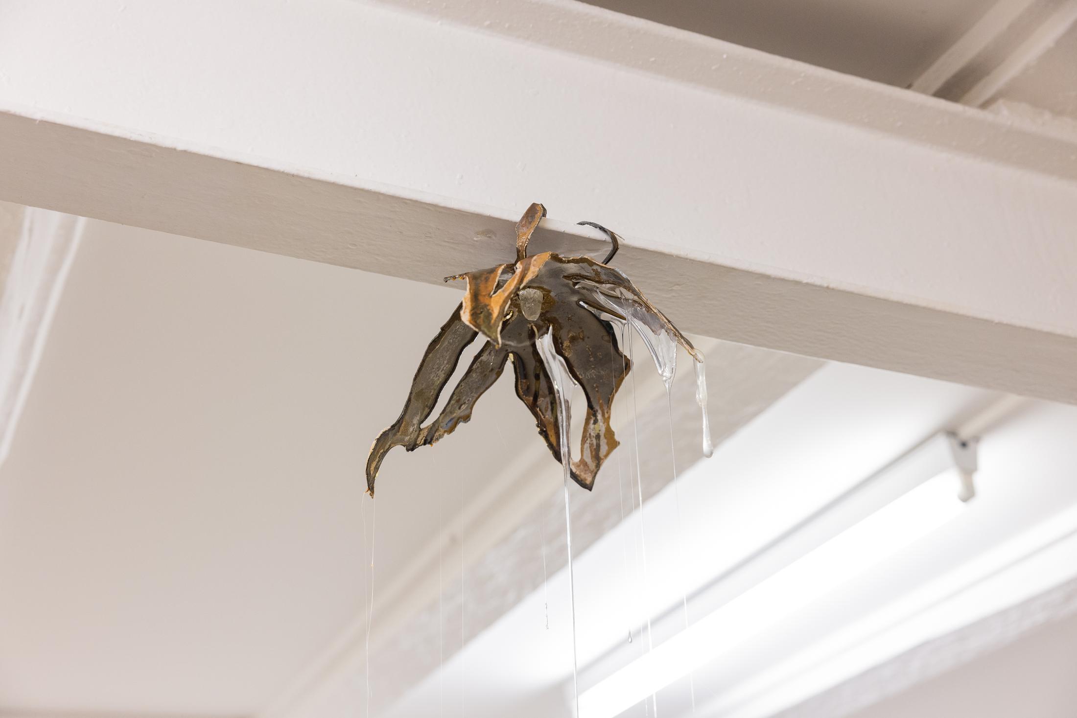 Exhibition View Duo Show «Fusionner nos Ardeurxes; view on Yolane Rais, Racine, 2022» at WallStreet, Fribourg, 2022-2023 / Photo: Julie Folly / Courtesy: the artist and WallStreet