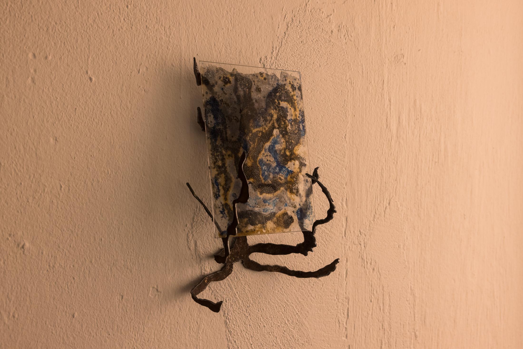 Exhibition View Duo Show «Fusionner nos Ardeurxes; view on Yolane Rais, Cyanotype 1, 2022» at WallStreet, Fribourg, 2022-2023 / Photo: Julie Folly / Courtesy: the artist and WallStreet