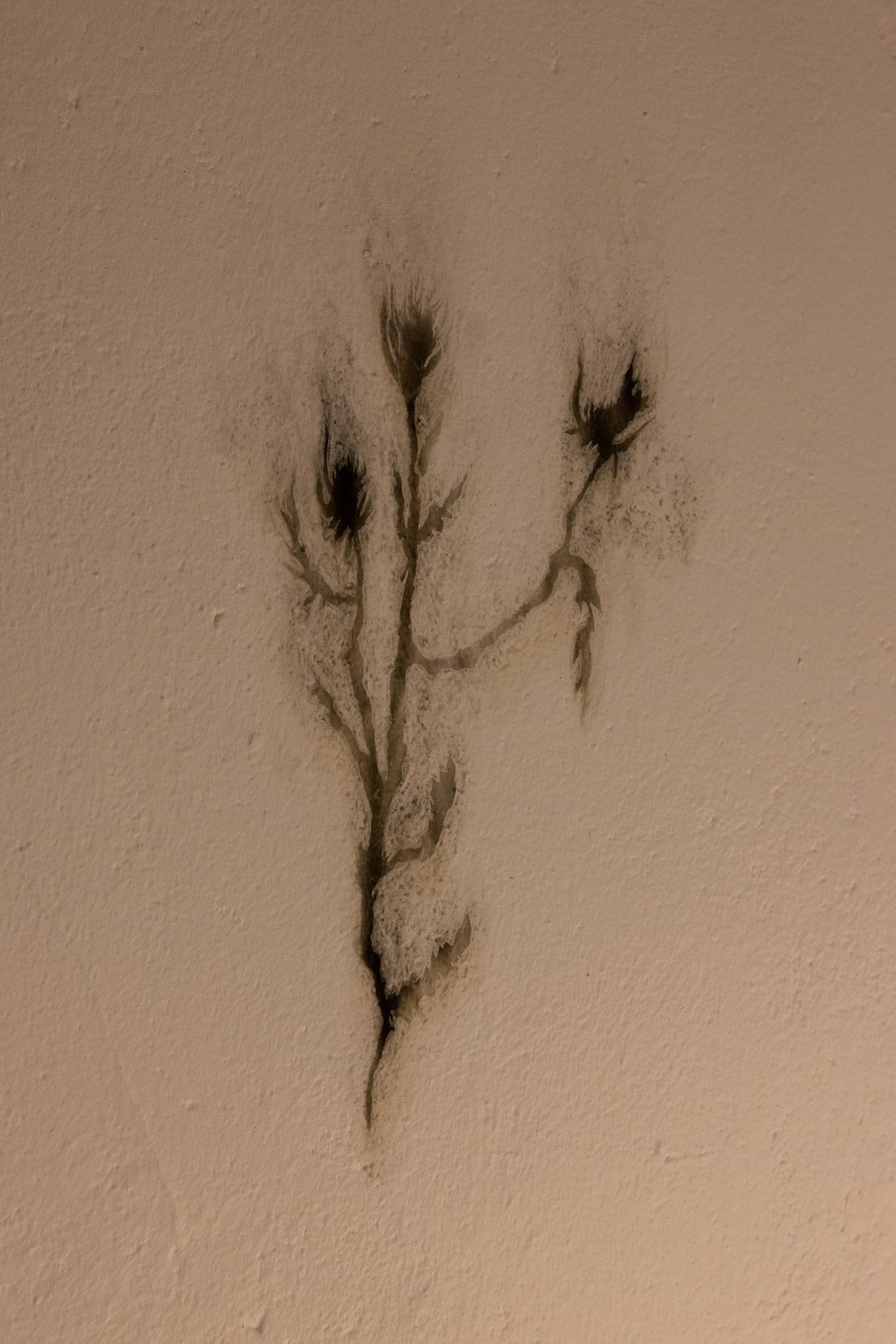 Exhibition View Duo Show «Fusionner nos Ardeurxes; view on Romy Colombe. K, Fire note – I left you a secret, 2022» at WallStreet, Fribourg, 2022-2023 / Photo: Julie Folly / Courtesy: the artist and WallStreet