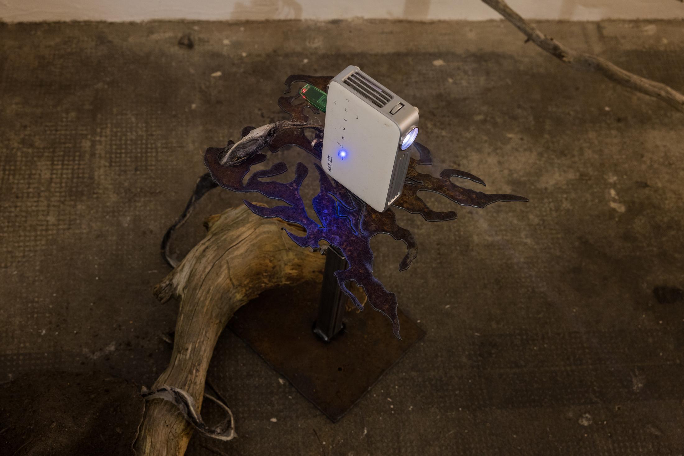 Exhibition View Duo Show «Fusionner nos Ardeurxes; view on Yolane Rais, Boite à fumée, 2022» at WallStreet, Fribourg, 2022-2023 / Photo: Julie Folly / Courtesy: the artist and WallStreet