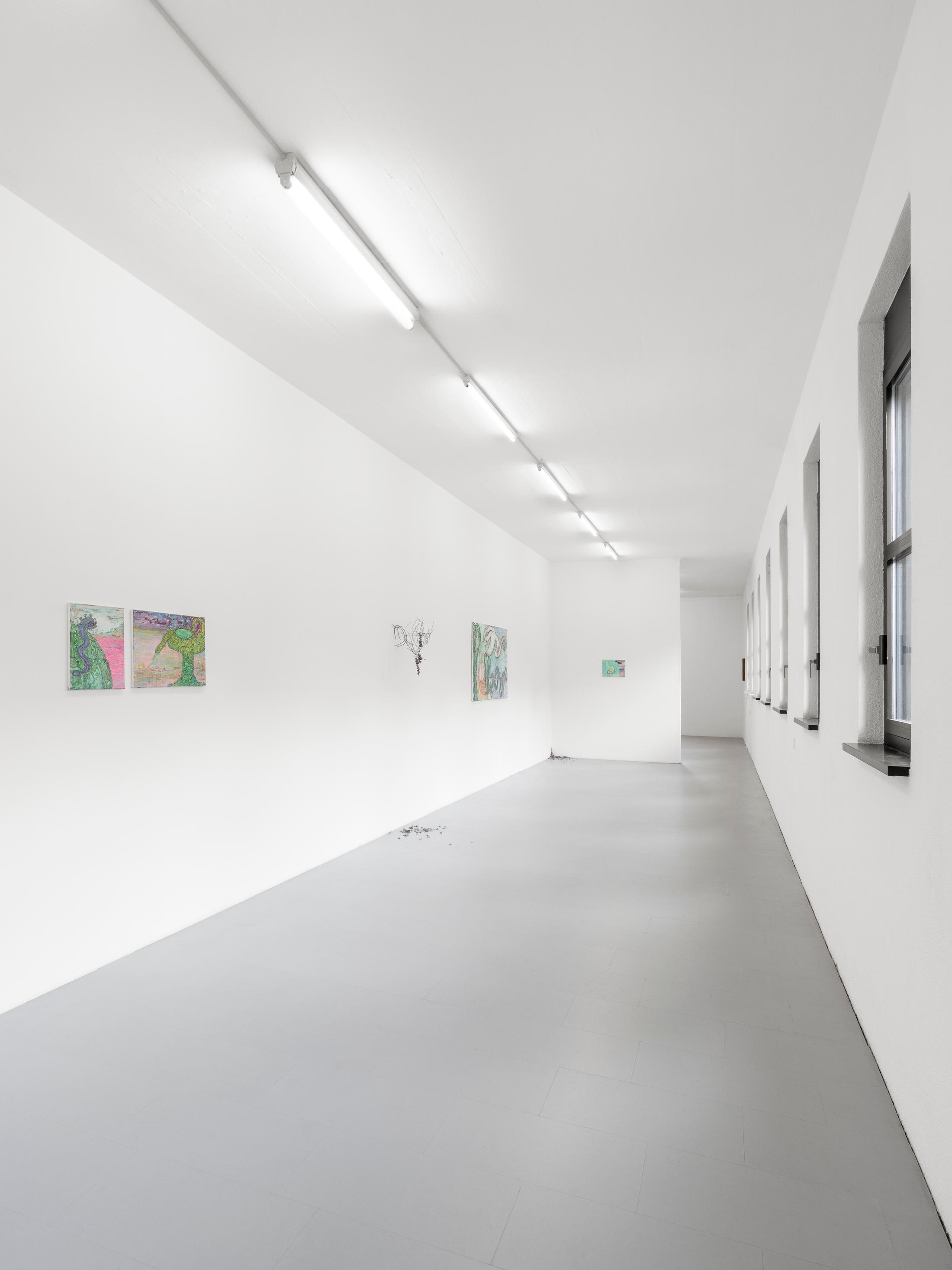 Exhibition View Group Show «Rosaspina» at La rada, Locarno, 2022 / Photo: Riccardo Giancola / Courtesy: the artists and La rada