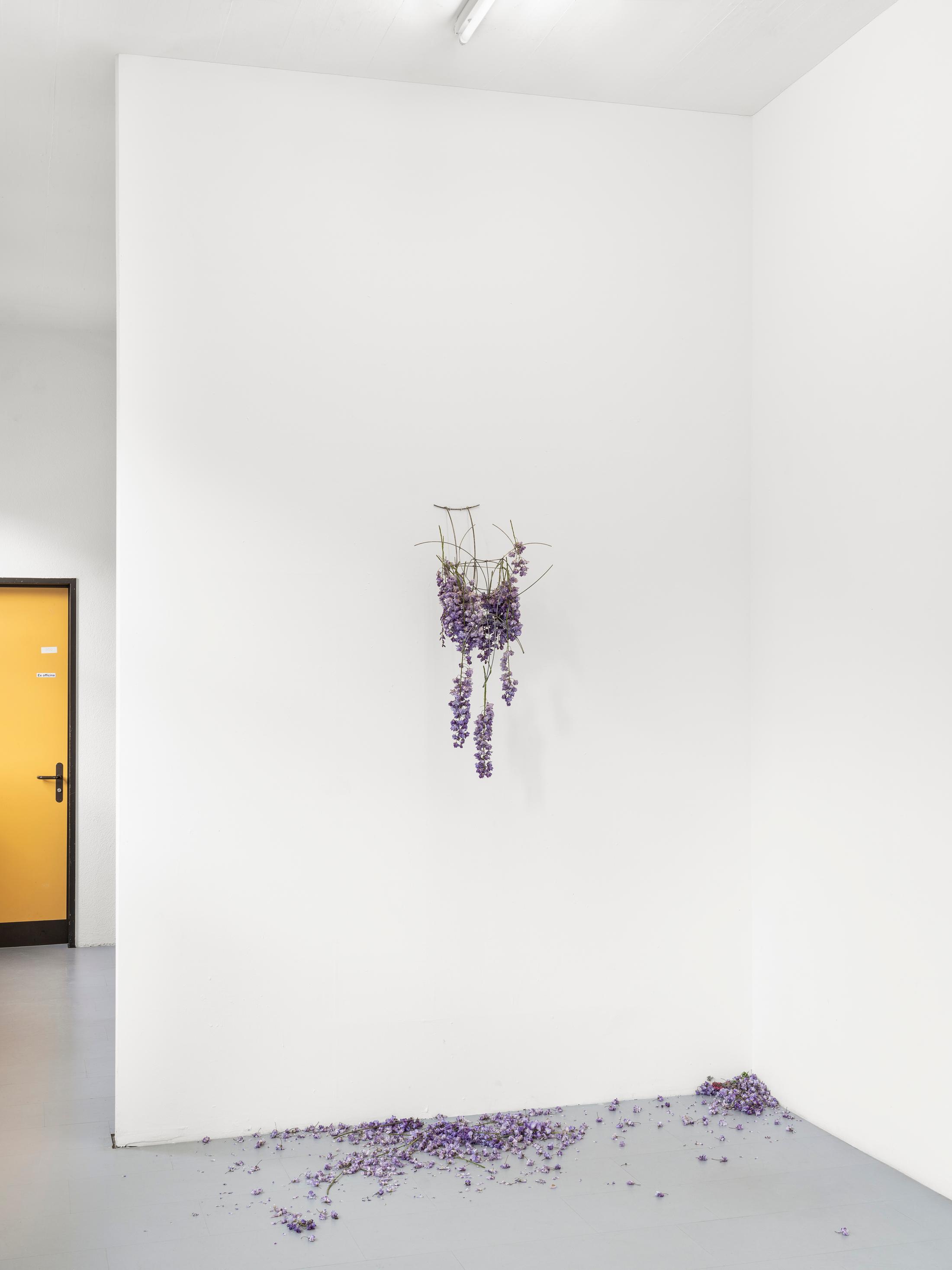 Exhibition View Group Show «Rosaspina; view on Jacopo Belloni, Mascherone I, 2022» at La rada, Locarno, 2022 / Photo: Riccardo Giancola / Courtesy: the artists and La rada